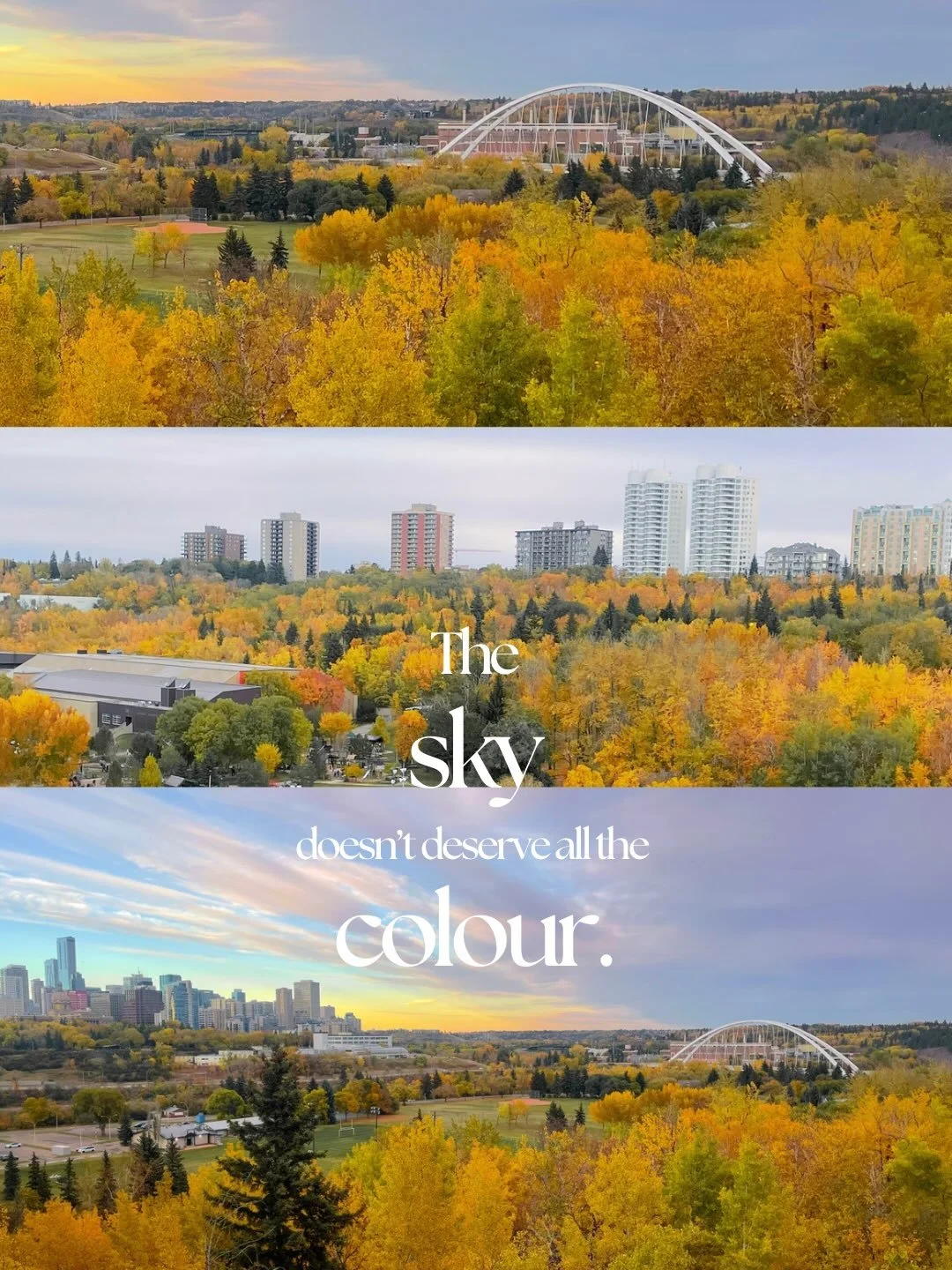 🍂✨🍁