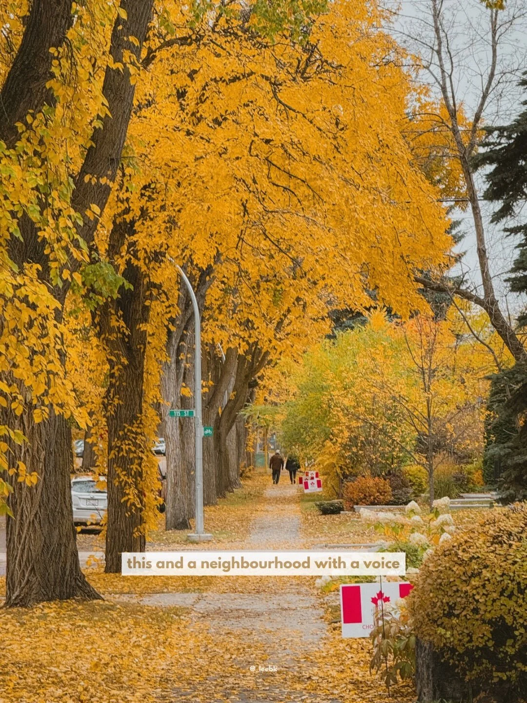 Some&lrm; signs&lrm; worth&lrm; noticing.
⁣🍂
⁣
⁣
⁣&mdash;
⁣#yeg&lrm; #exploreedmonton&lrm; #edmontonalberta&lrm; #fallstreets&lrm; #notothenine
⁣
