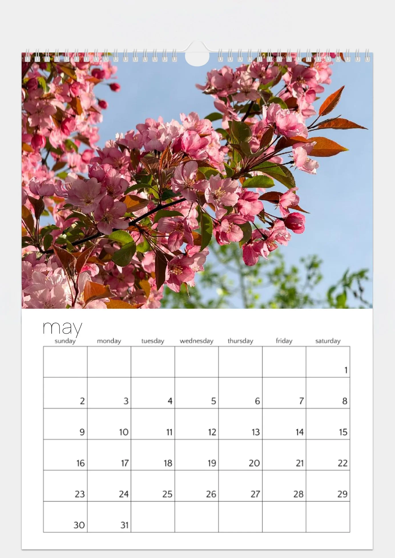 Screenshot 2026-09-15 at 8.24.52 AM.JPG