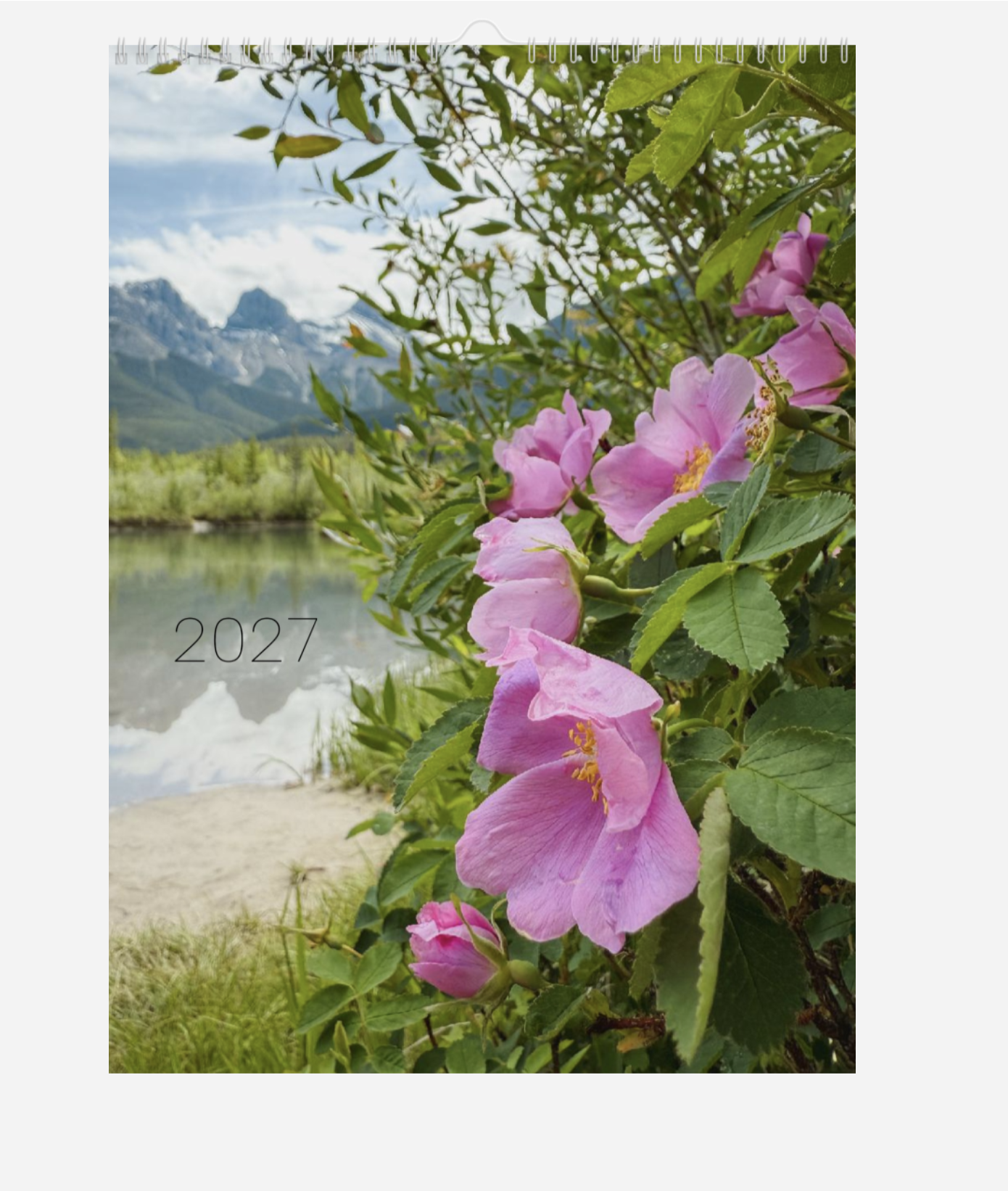 Screenshot 2026-09-15 at 12.59.05 PM.png