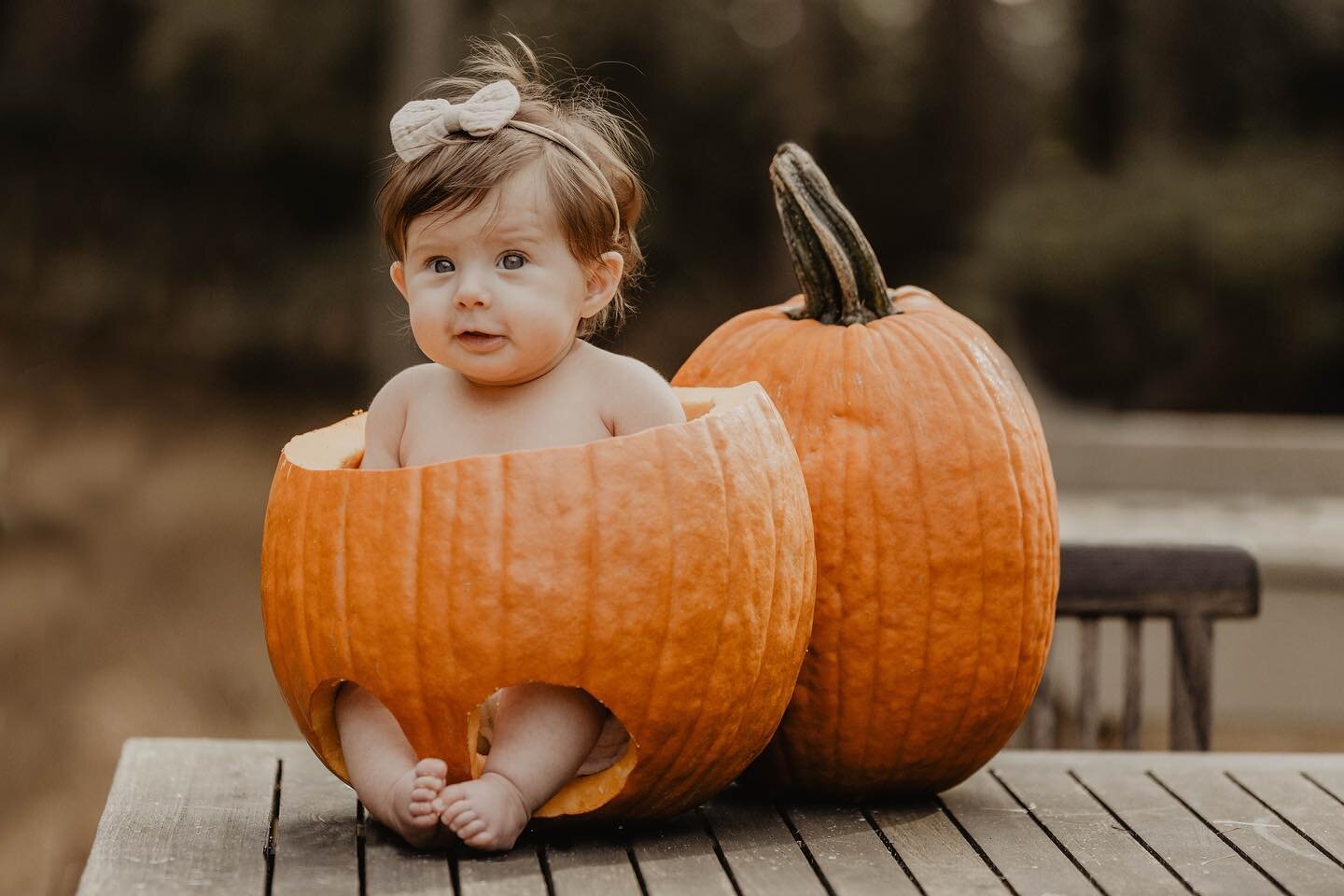 Happy Halloween from the cutest pumpkin in the patch 🎃👻