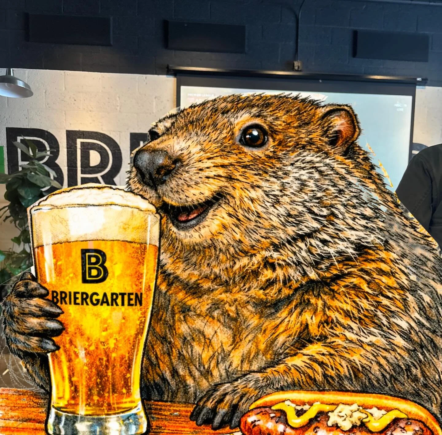 Take Punxsutawney Phil&rsquo;s advice&hellip; &ldquo;The only way to survive the next six weeks is to spend as much time as possible with friends at your favorite watering hole!&rdquo;