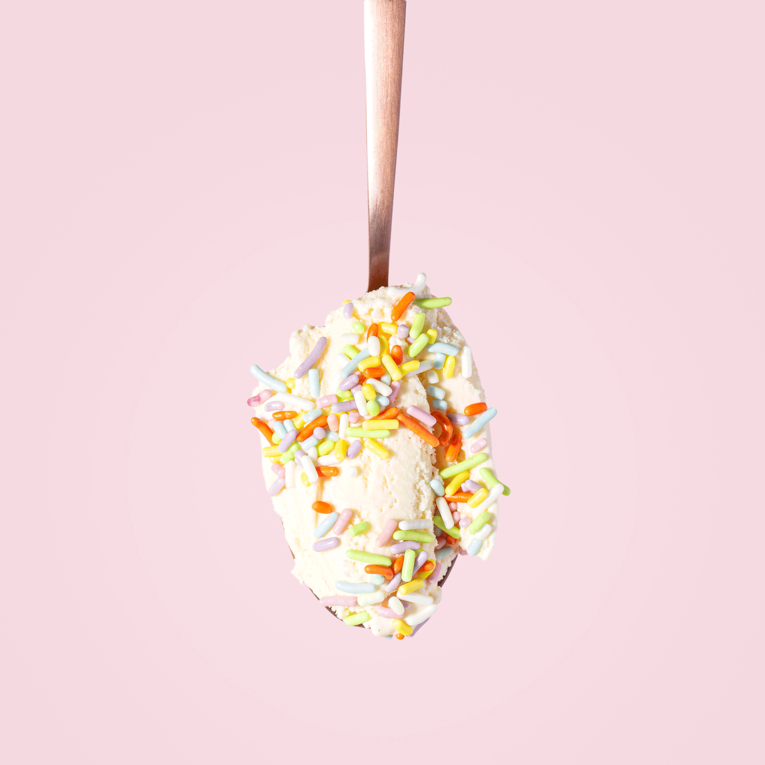 SC-Family_Spoon_04_2021_AmeliaIngraham_1x1.gif