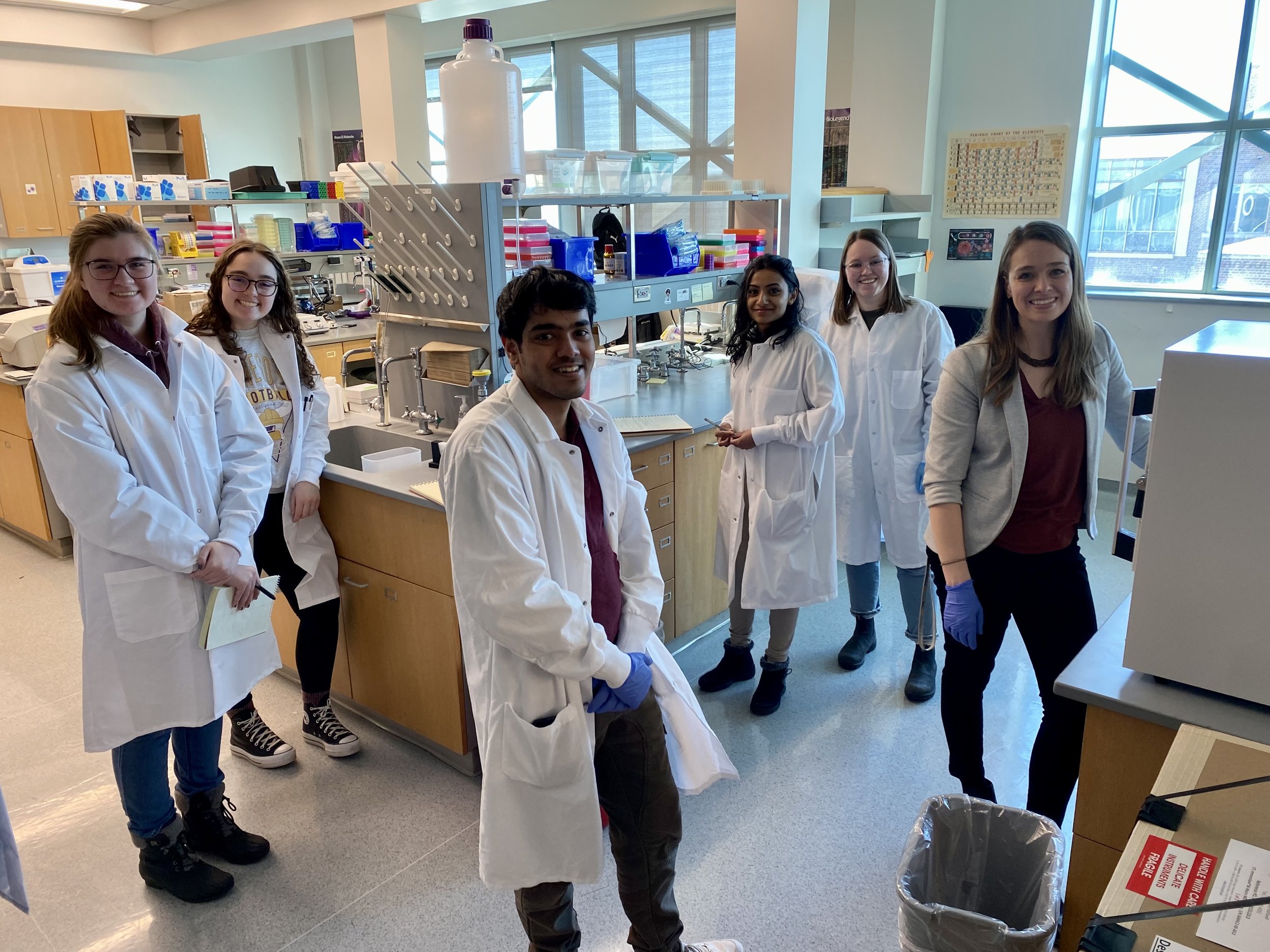 Hartwell Immunoengineering Lab