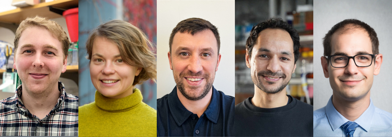 Michelson Medical Research Foundation Awards $750,000 to Rising Immunology Leaders