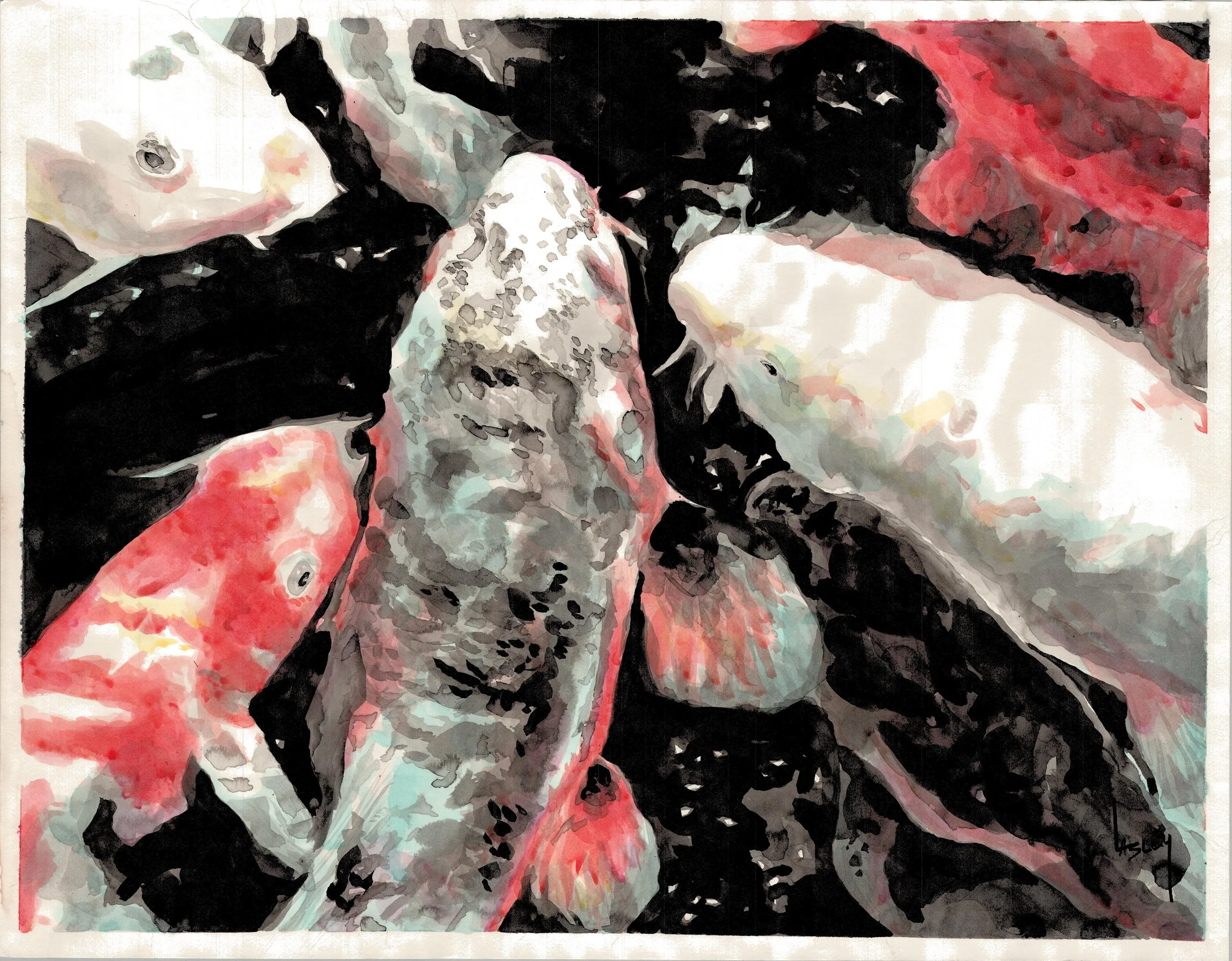 "Koi Feeding 2" Ink Wash on Paper by Blake Lasley