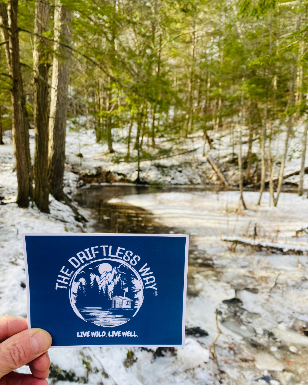 Untitled design (25).png