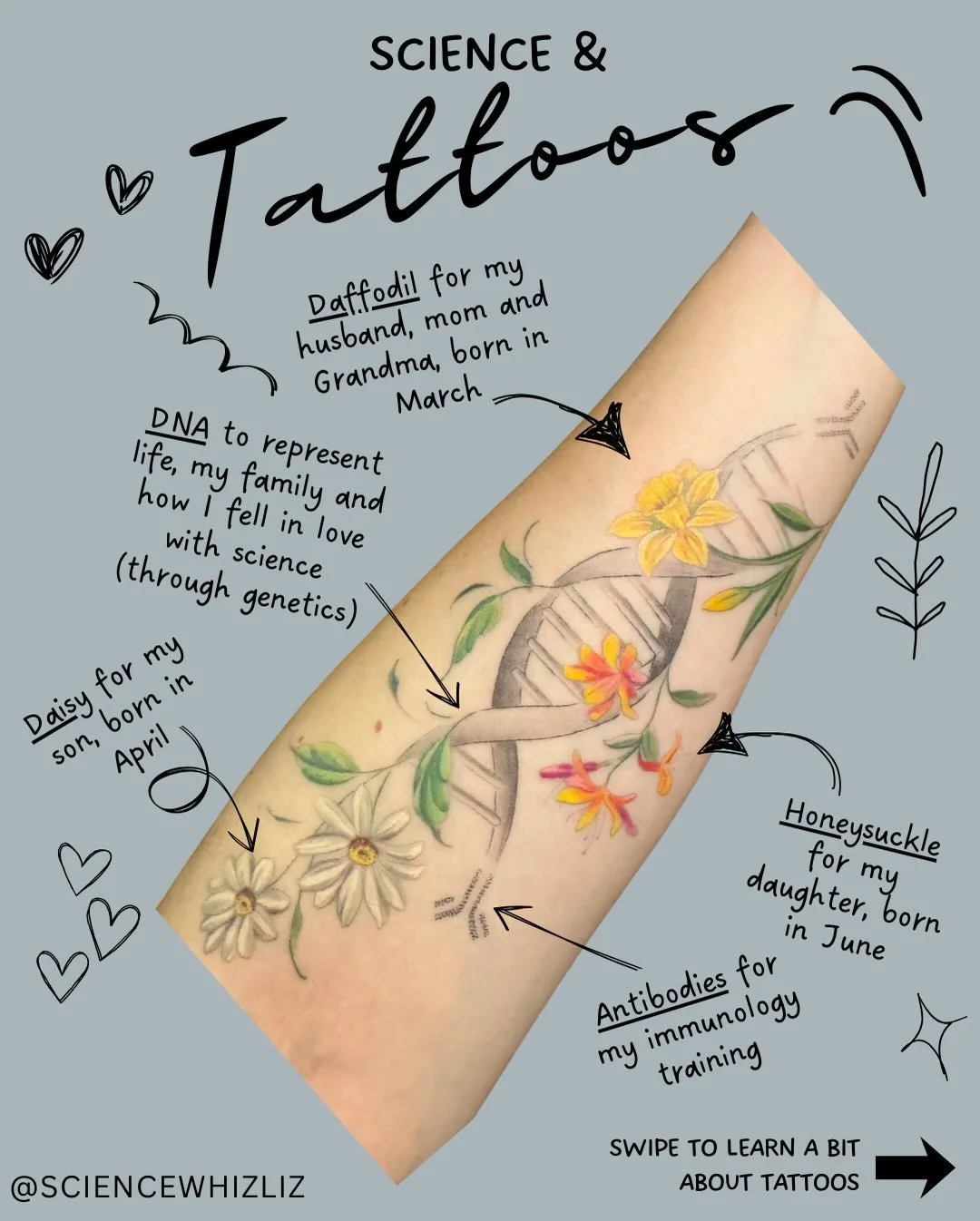 A few weeks ago I got my first tattoo that incorporated both my family and my love of science. Since then I&rsquo;ve seen a lot of questions from you all. Here is a very very brief explainer of the science behind tattoos. But please drop other questi