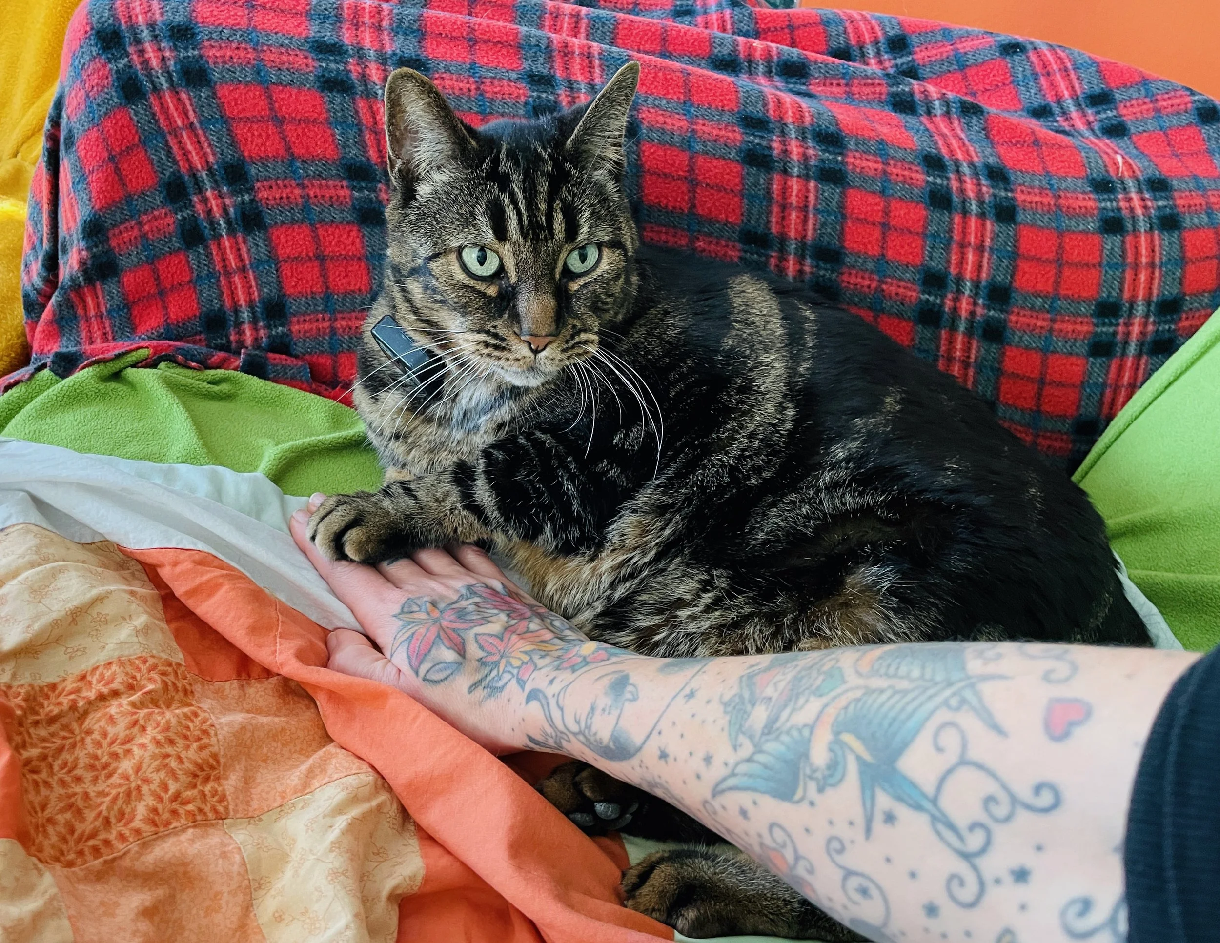 episode 25: thanks in the moment