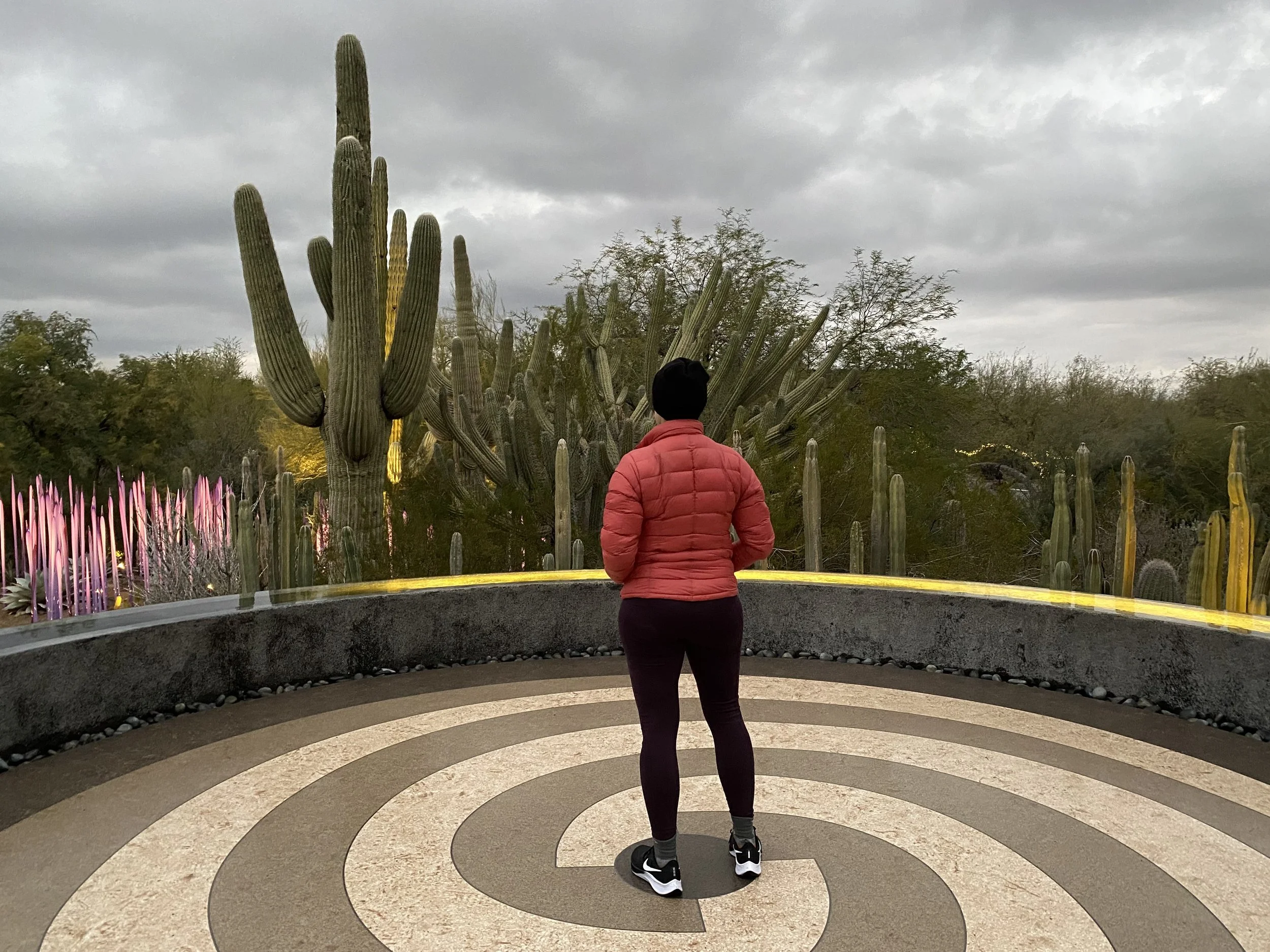 episode 29: this is your sign