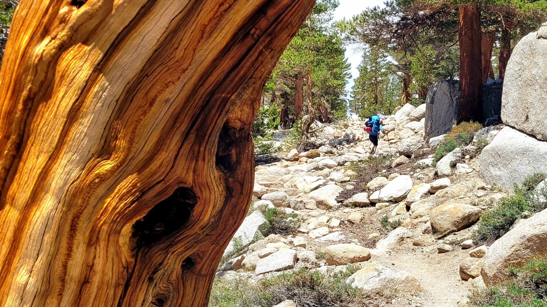 episode 59: it's not all about you