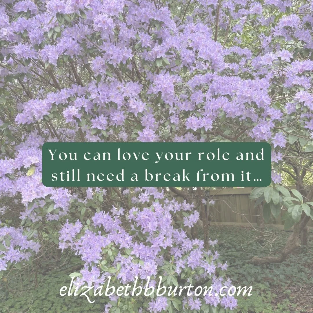 Happy Friday!! Consider sharing with someone this might encourage. And&mdash; if you are not already receiving the Narrating Hope newsletter, I&rsquo;d love to share it with you! 🫶🫶