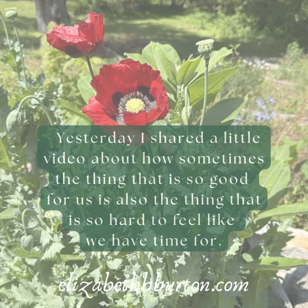 This is allllll about elevating the SMALL and challenging all or nothing thinking. The partial is significant.✨

Watch yesterday&rsquo;s video for context. Let me know what resonates with you!!!🫶🫶