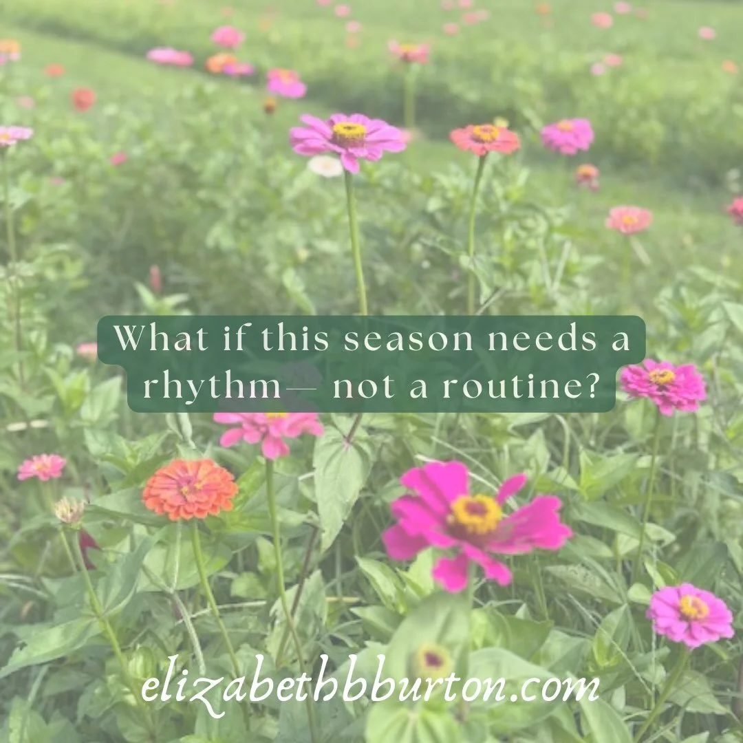 As summer gives way to a new school year and the rhythms of fall begin to emerge, I find myself thinking less about routines and more about rhythms.

Schedules have their place, but rhythms feel softer. They leave room for the unexpected and invite u