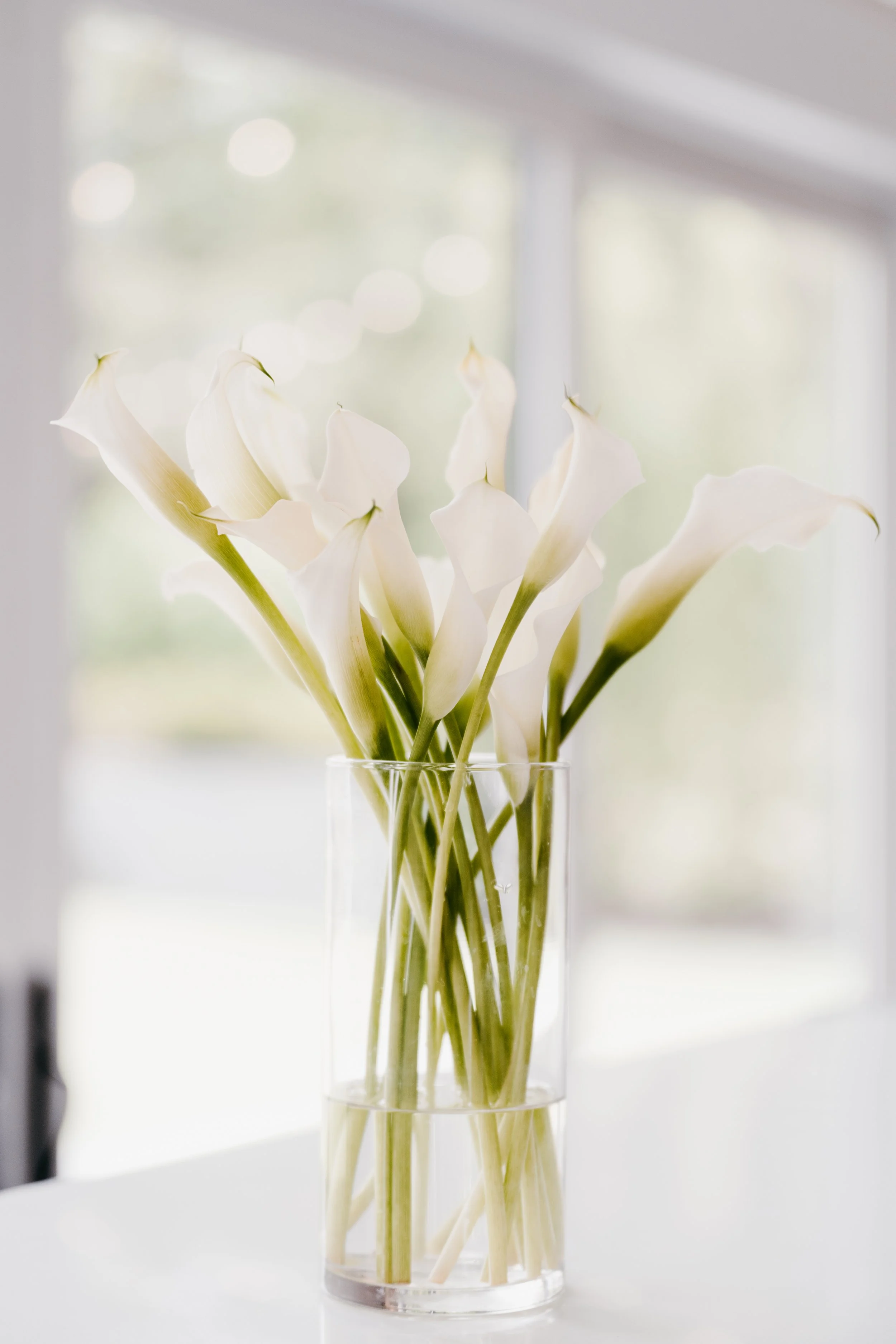 Rachael+Jack-Wedding-Russell-Heeter-Photography-283.jpg
