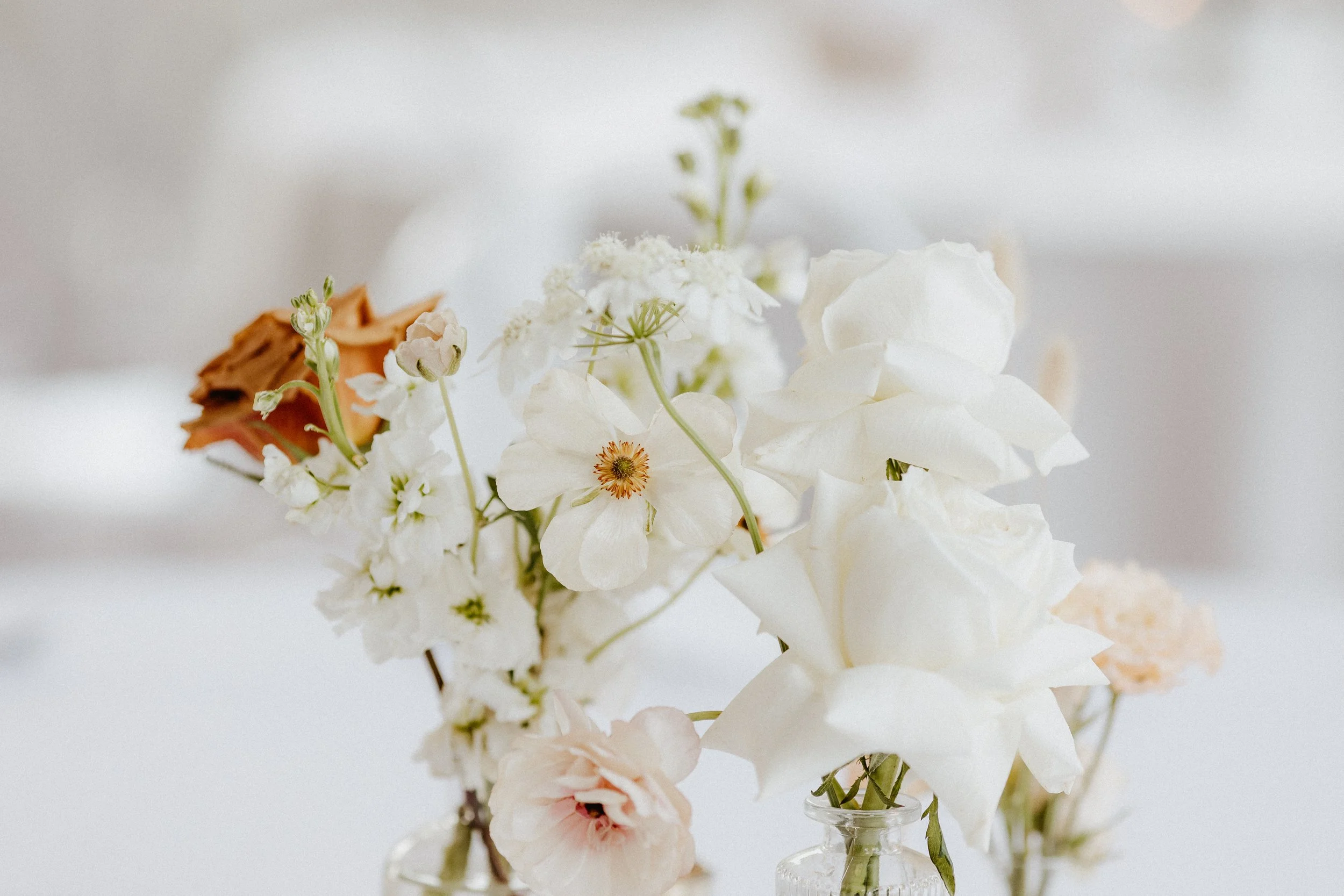 Melissa-Gabe-Reception-21.jpg