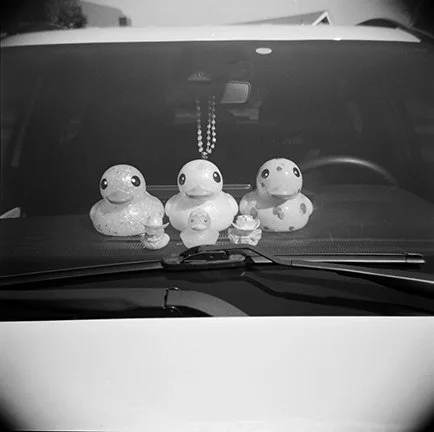 Ducks copy.jpg