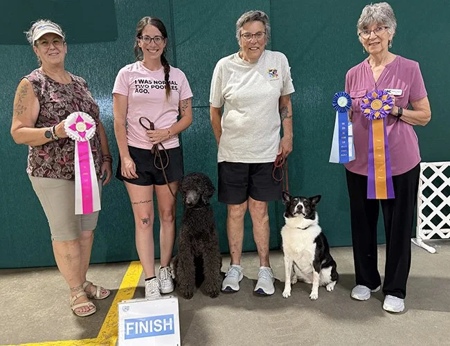 dog-obedience-fort-wayne-indiana-10.jpg