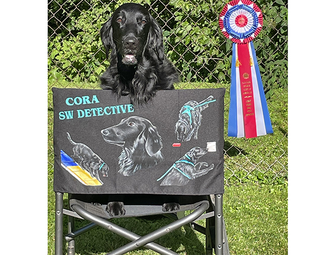 dog-obedience-fort-wayne-indiana-11.png