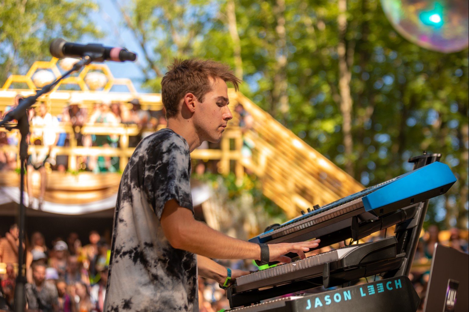 Jason-electric-forest.jpg