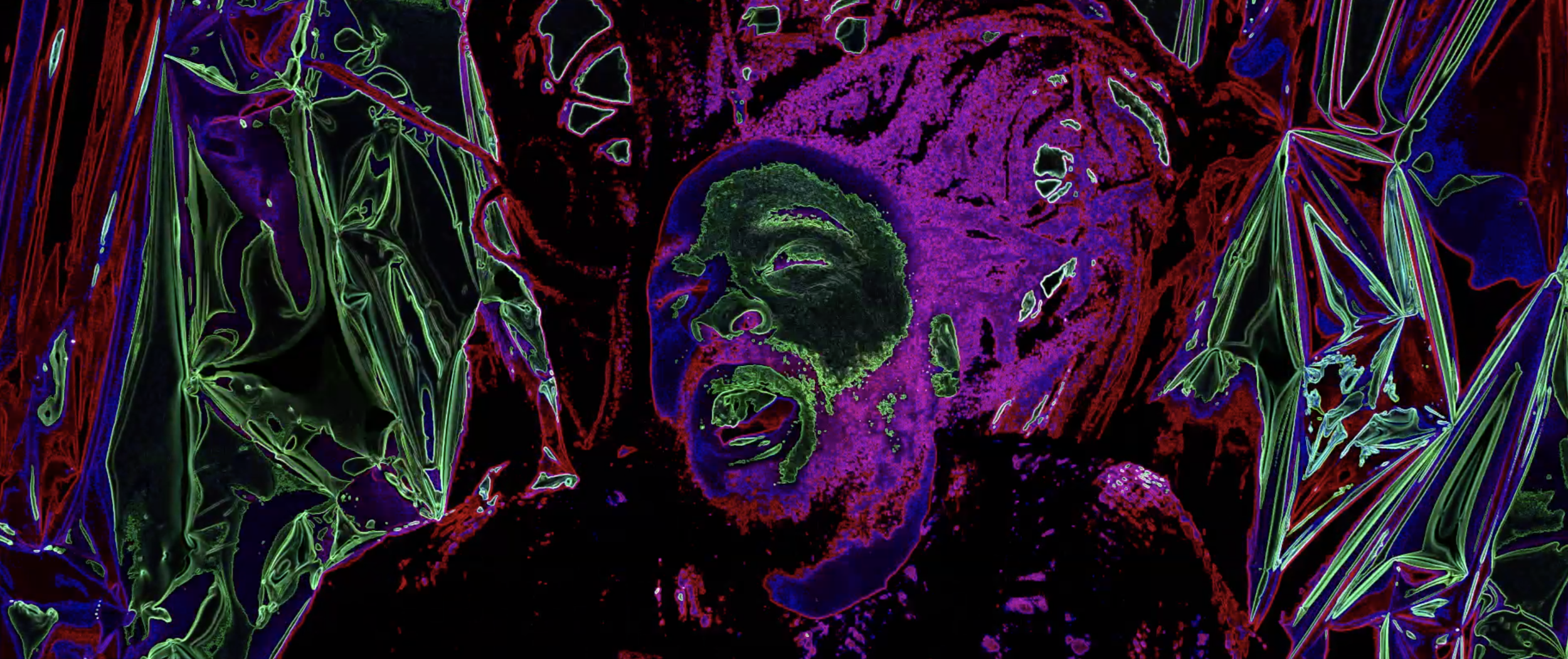 Screen Shot 2021-02-12 at 8.55.07 AM.png