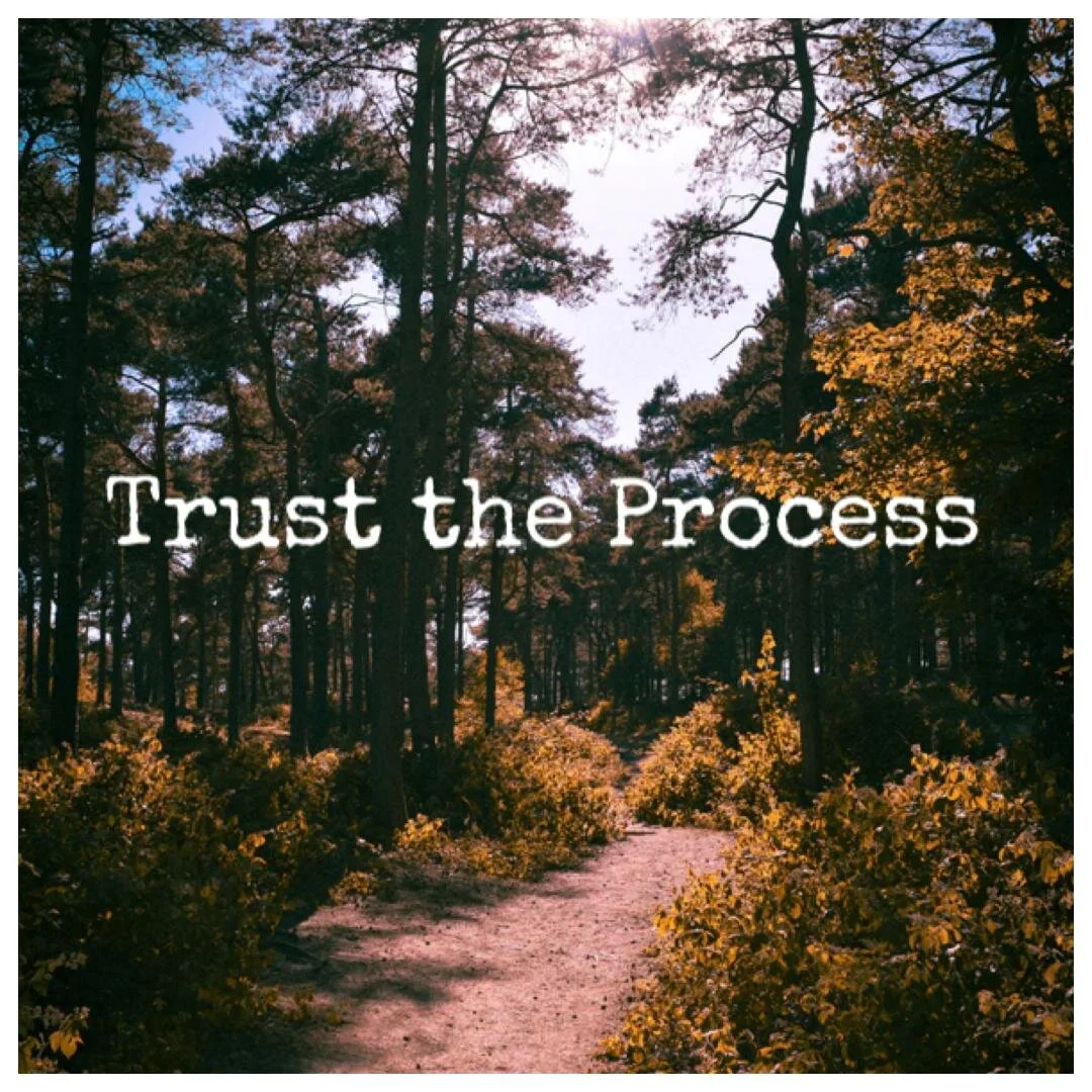 Trust the Process