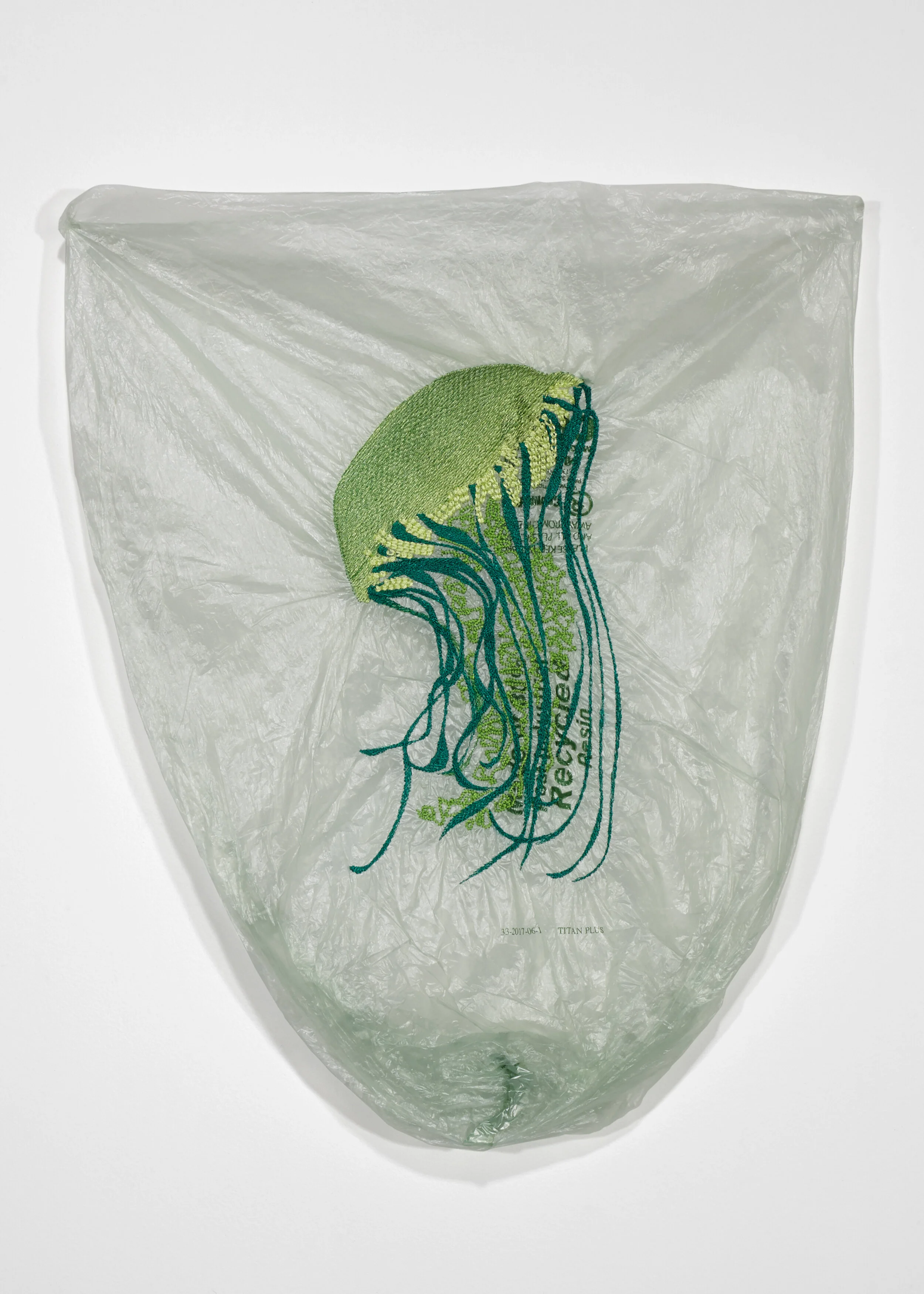 Katherine_Earle_Jellyfish_013.jpg