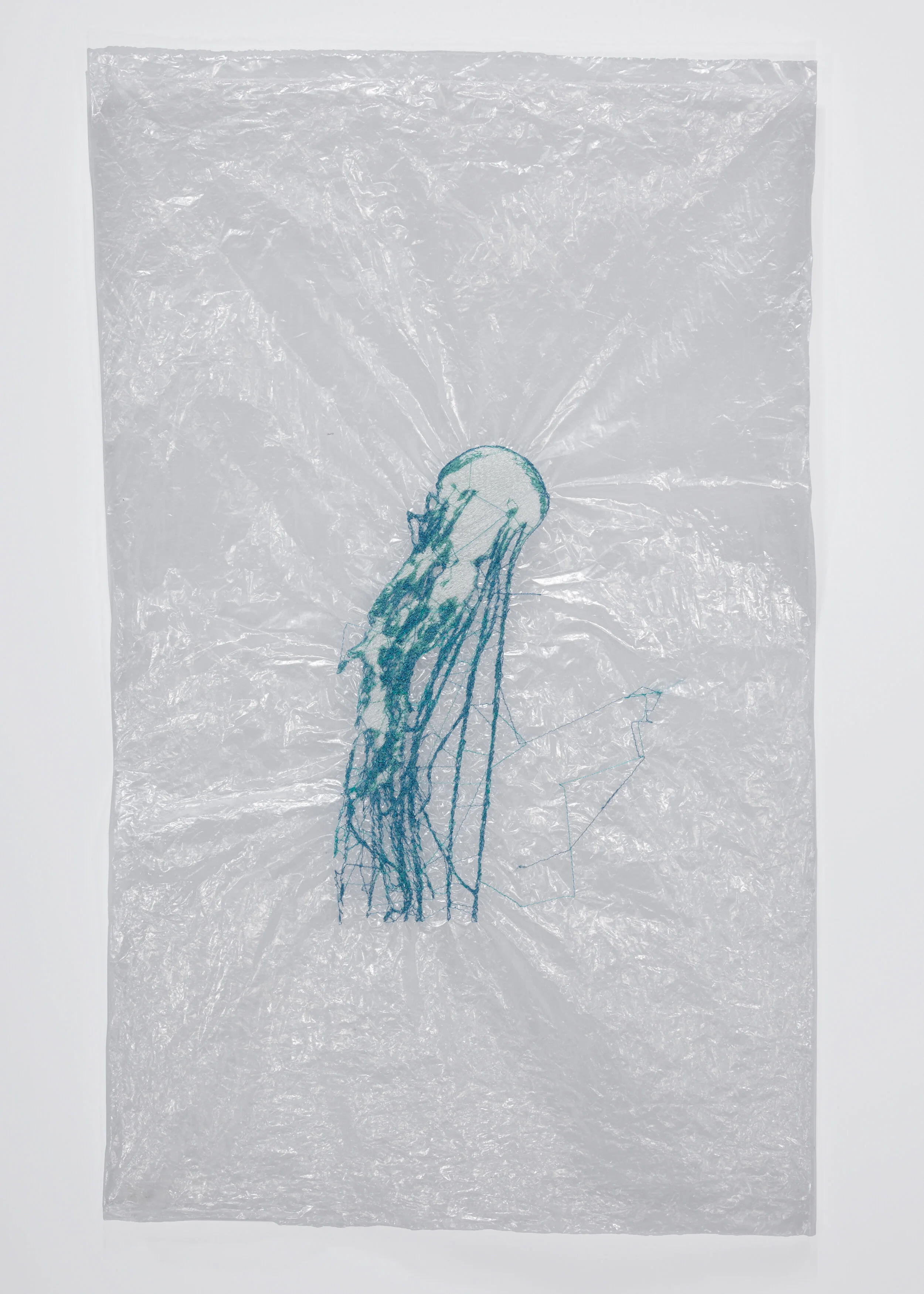 Katie_Earle_Jellyfish_002.jpg