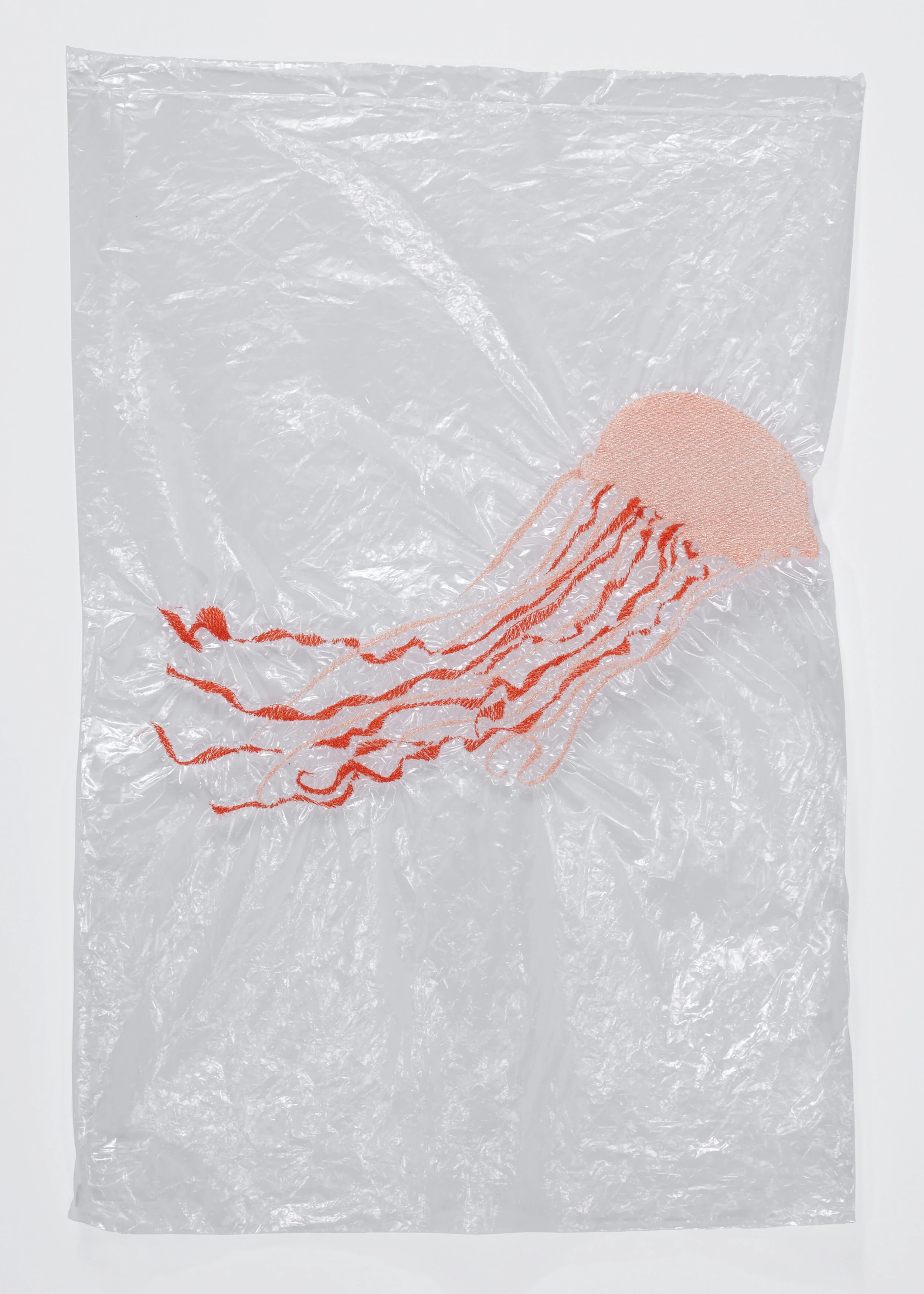 Katie_Earle_Jellyfish_003.jpg