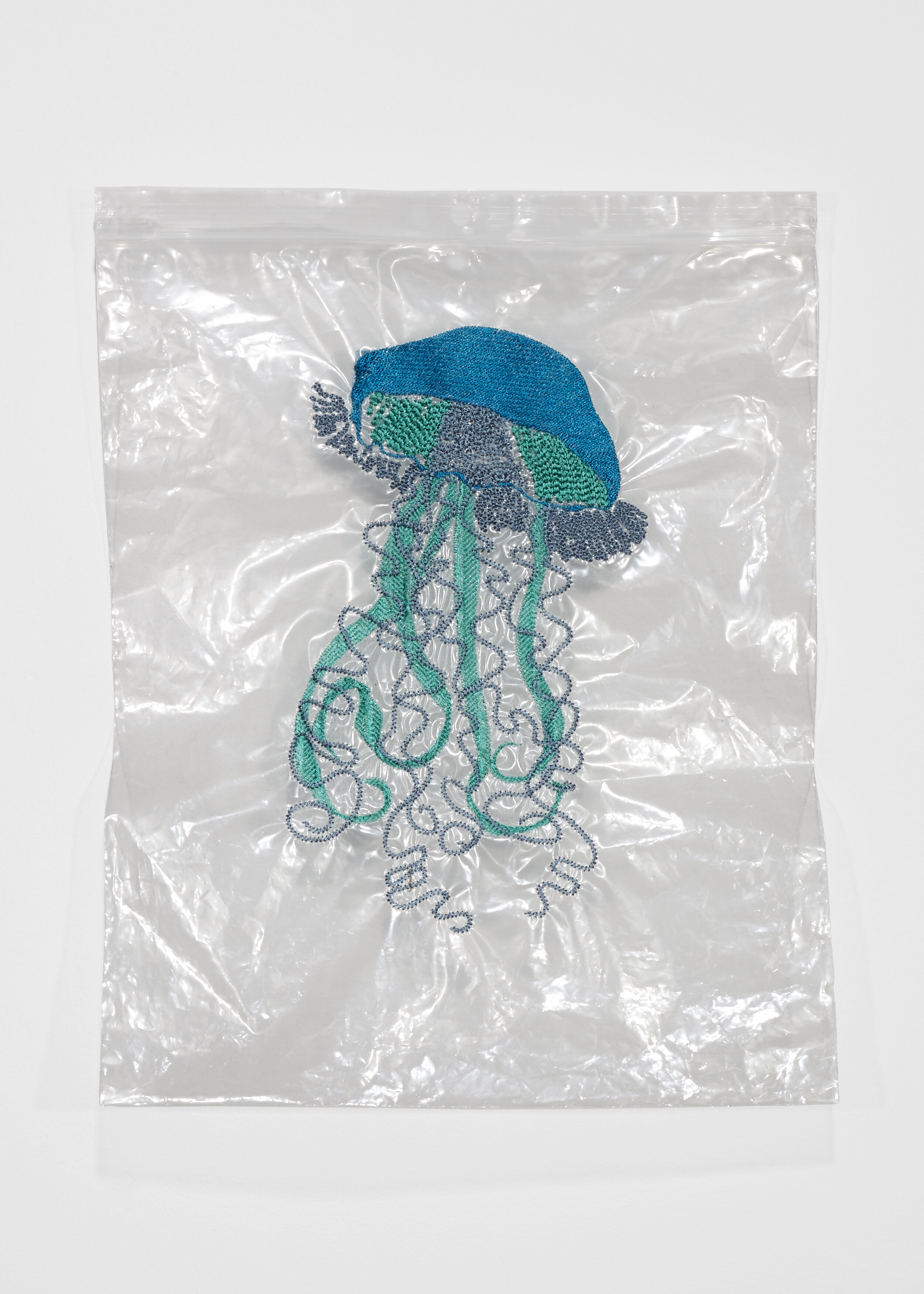 Katie_Earle_Jellyfish_014.jpg