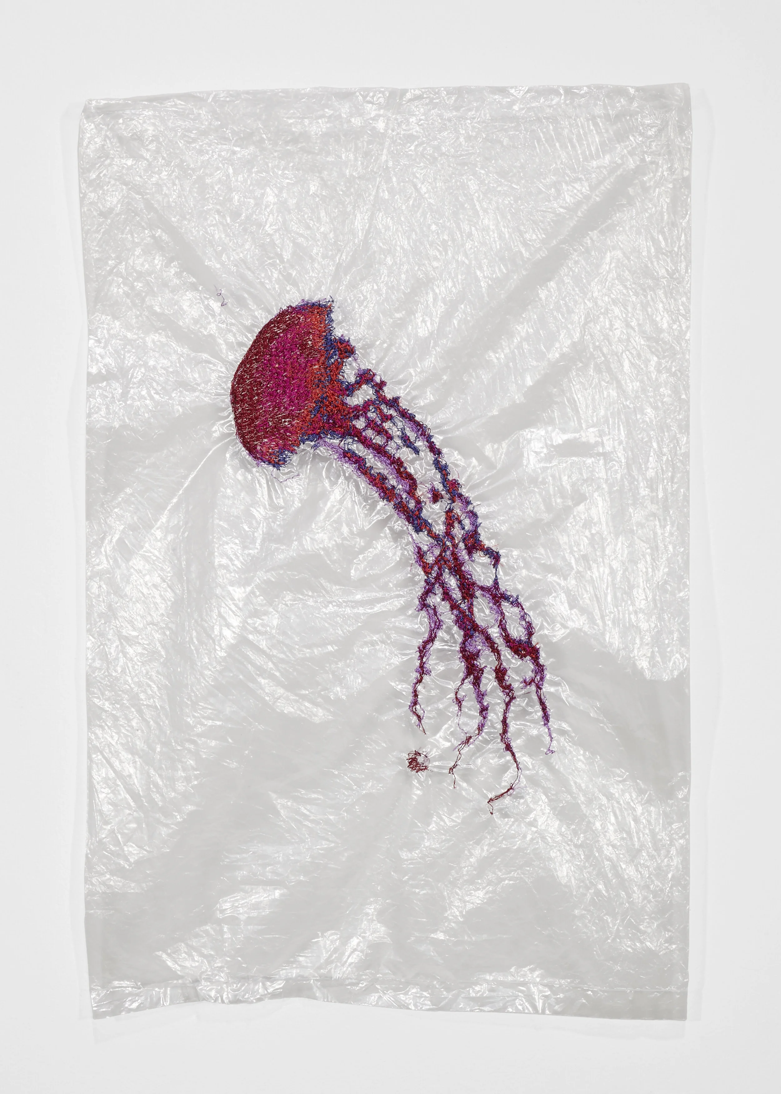 Katie_Earle_Jellyfish_016.jpg