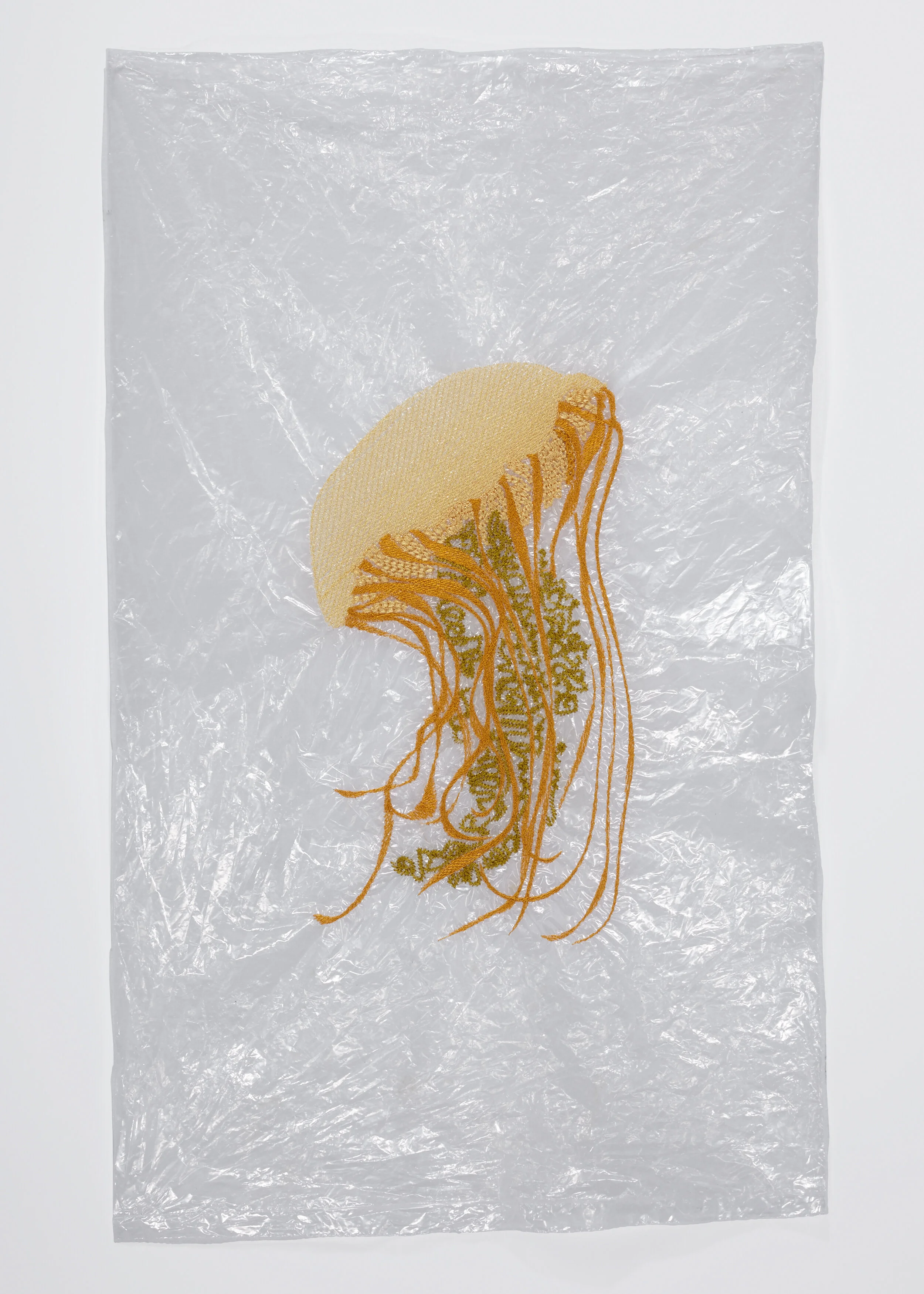 Katie_Earle_Jellyfish_001.jpg