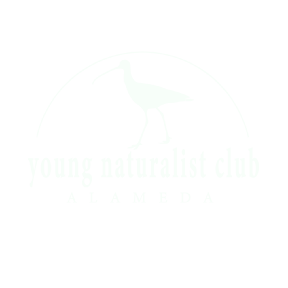 Alameda Young Naturalist Club