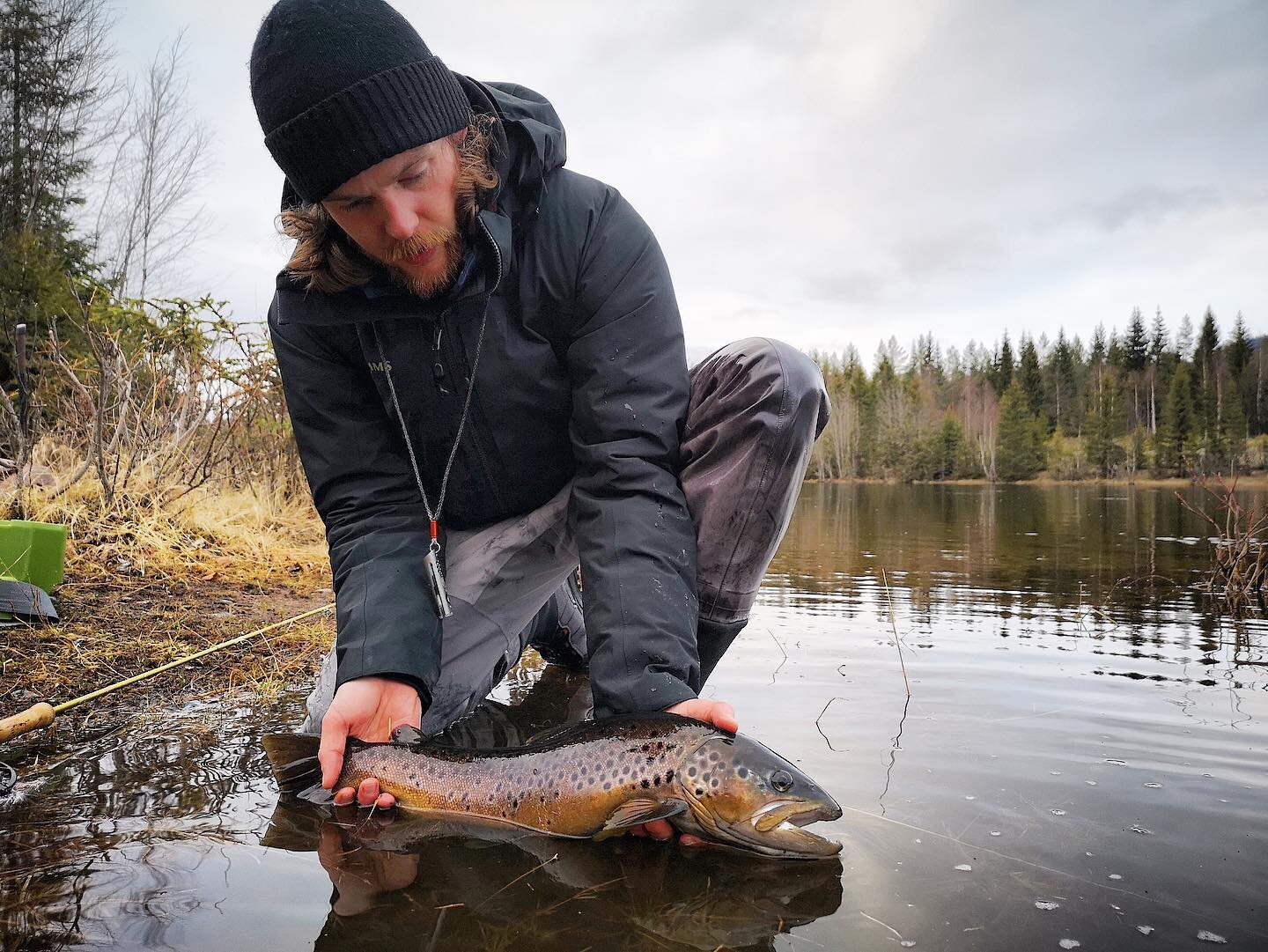 @christoffer.gaarder with a beautiful Rena River brown trout. @rena_fish_camp #flyfishing #norway #fluefiske #renaelva #fishing #nature #travel #renafiskecamp #renafishcamp @vak_fluefiske