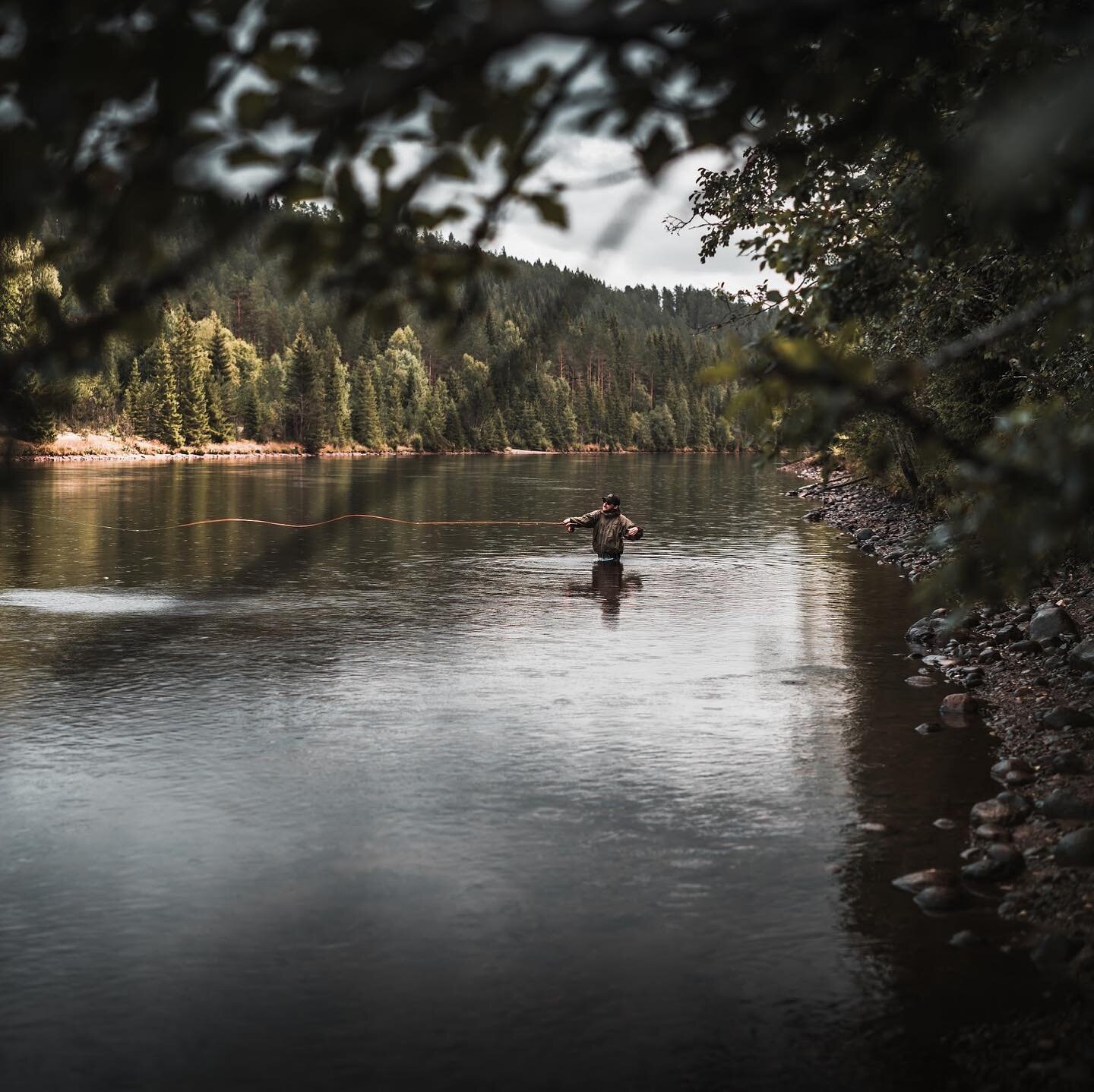 On the Search. 
@christoffer.gaarder 
📸 @kasper.fosser with a killer shot. 
#flyfishing #fluefiske #renaelva #norway #nature #fishing #utno #renafiskecamp #renafishcamp