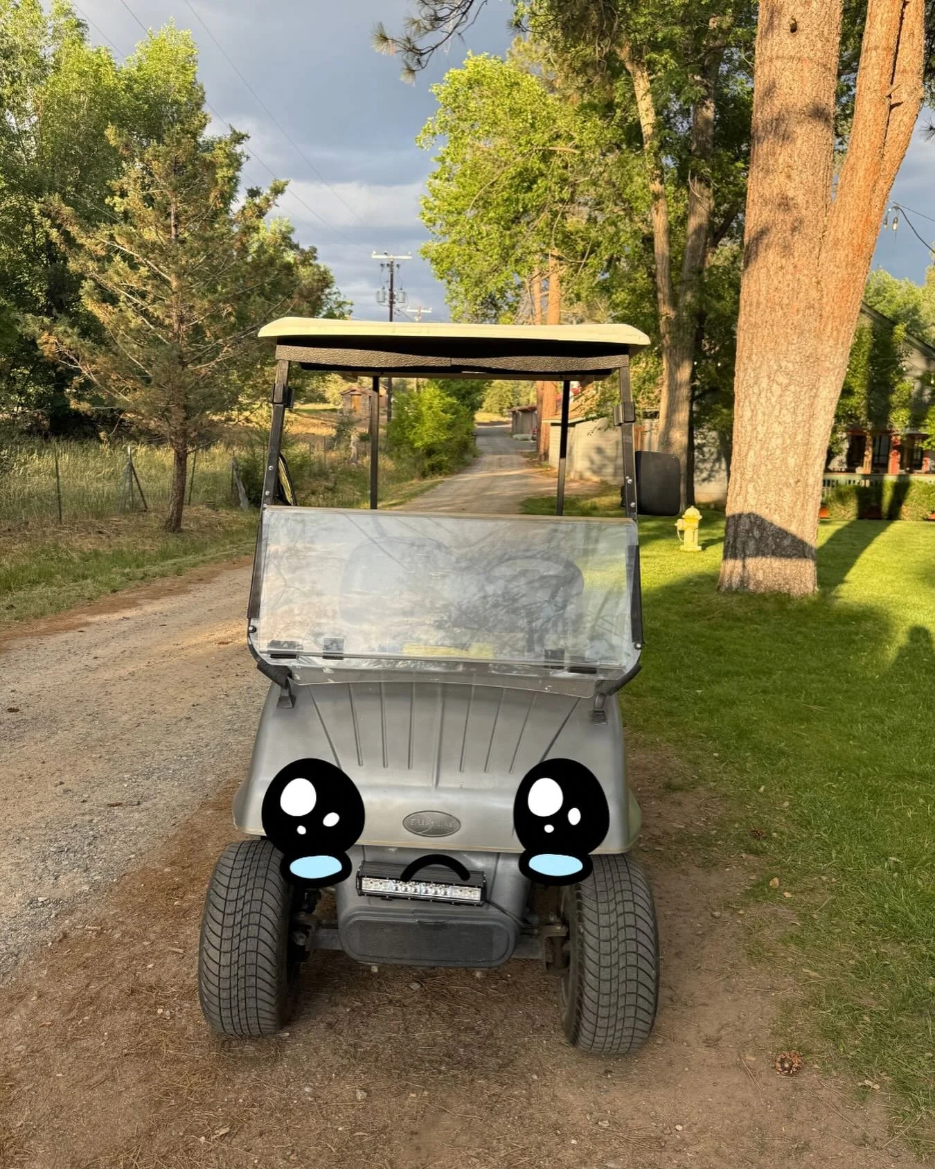 As our trusty golf cart approaches her final lap around camp, we are in desperate need of a replacement. 💔Any leads are greatly appreciated!