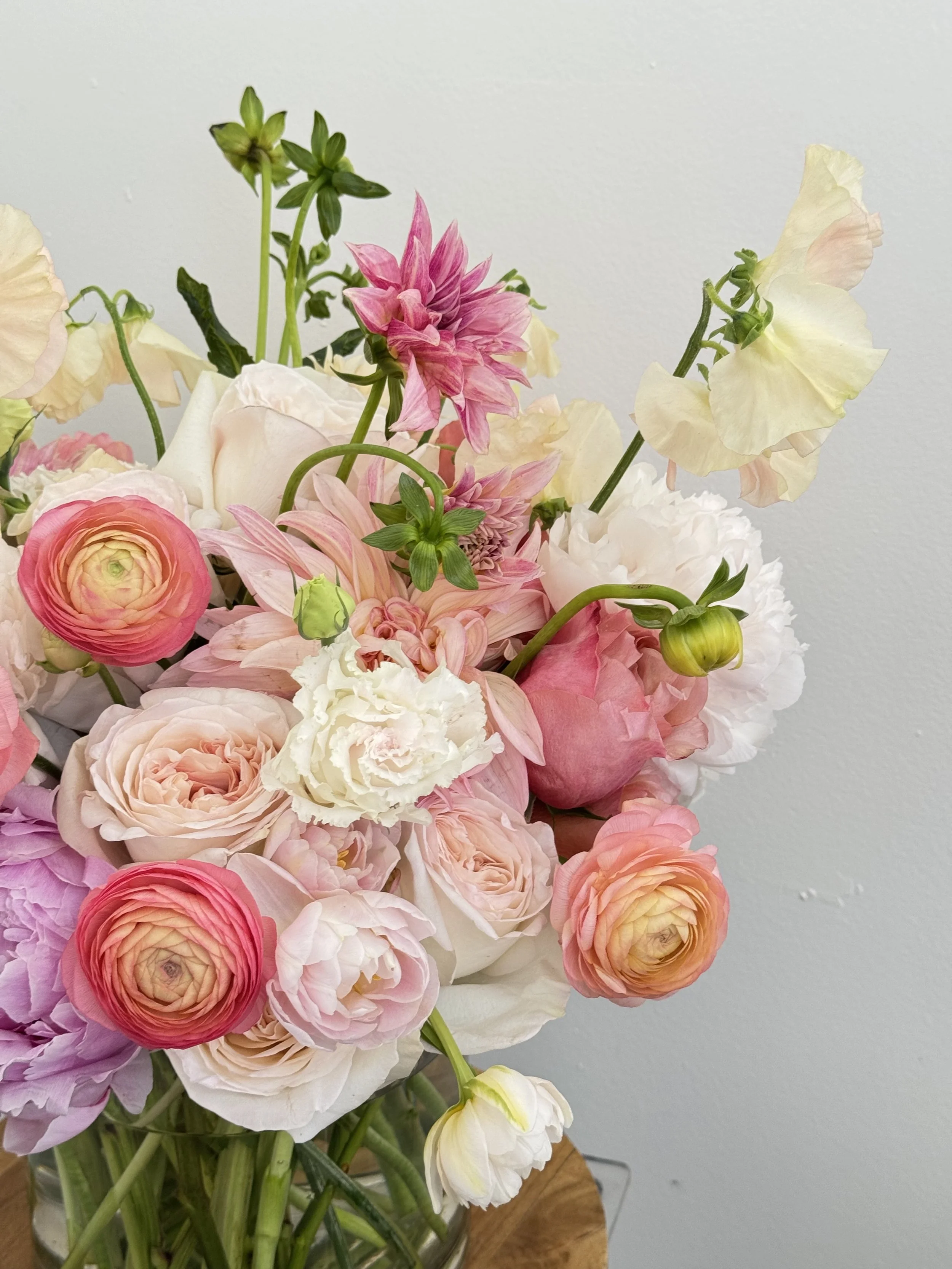 KakaoTalk_Photo_2026-01-25-19-12-20 005.jpeg