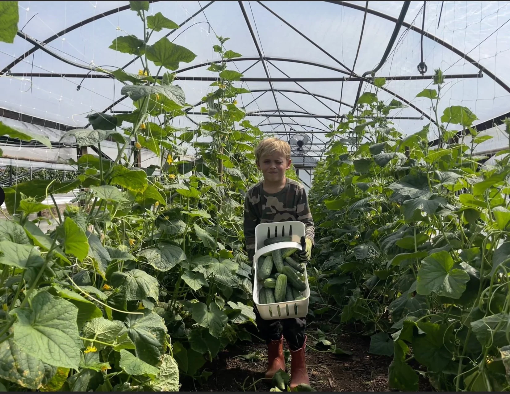 Lyle WIth Cucumbers.jpg
