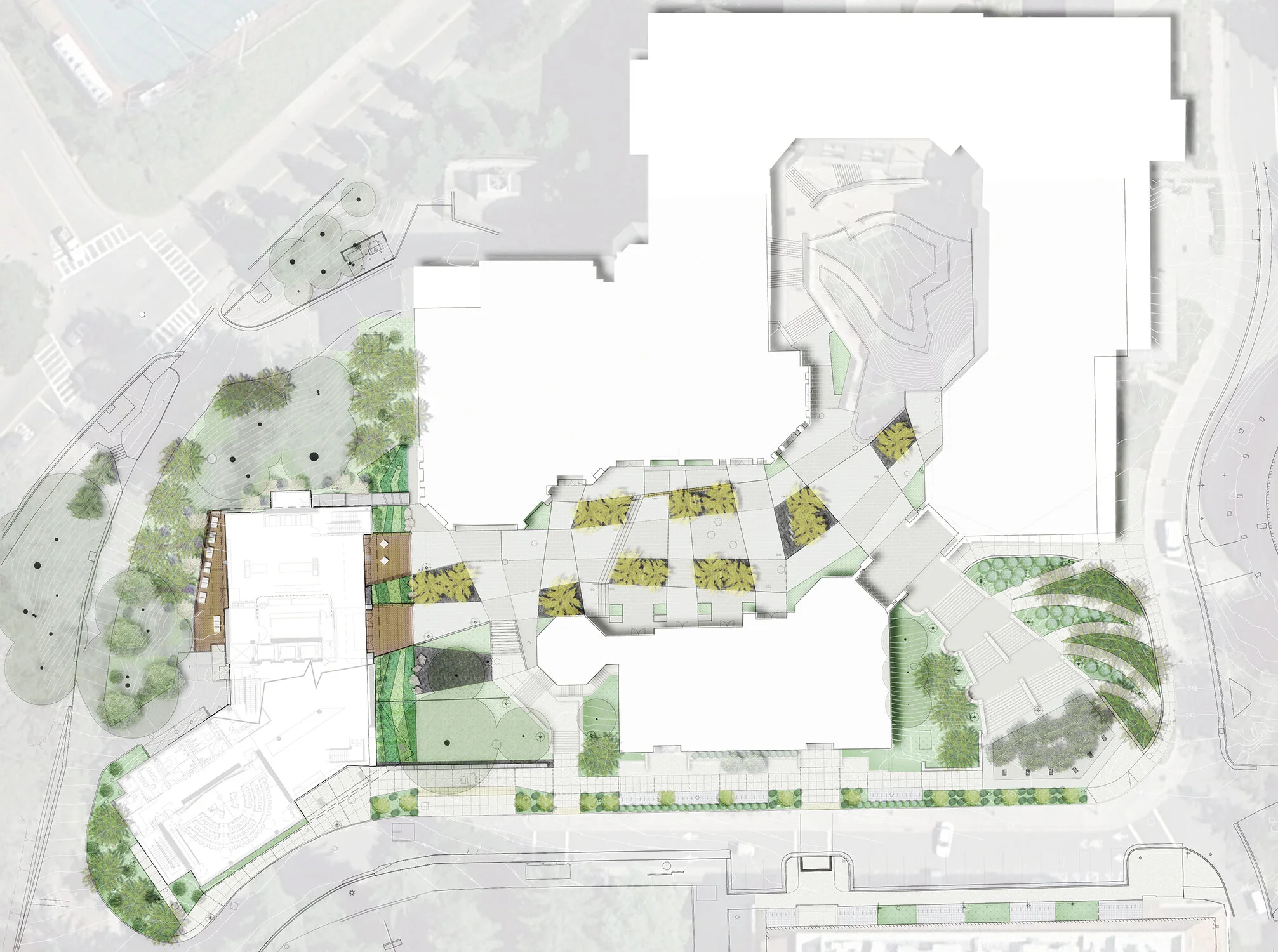 HAAS SCHOOL OF BUSINESS