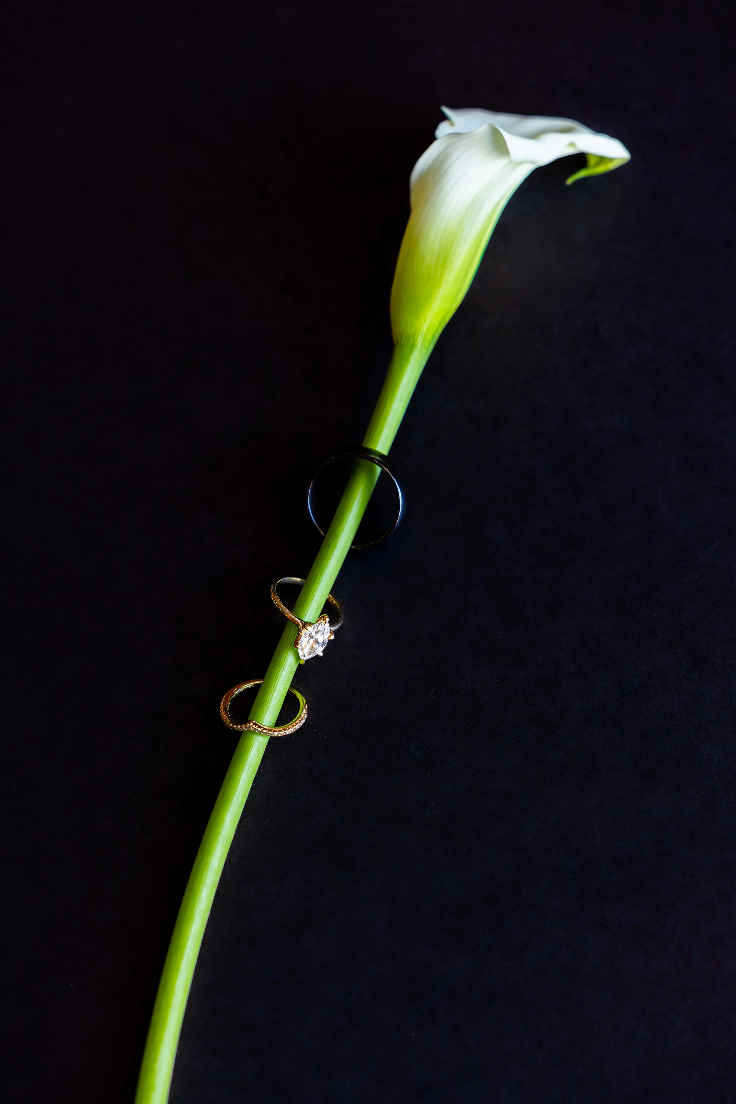 A & N Wedding -17.jpg