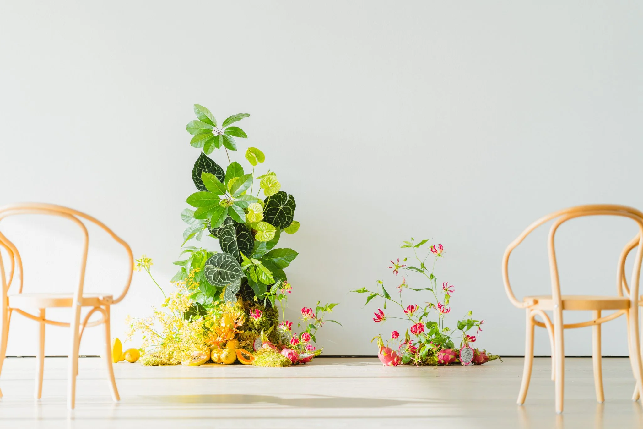 Modern Tropical Papaya Editorial - Chuunice Photography-13.jpg