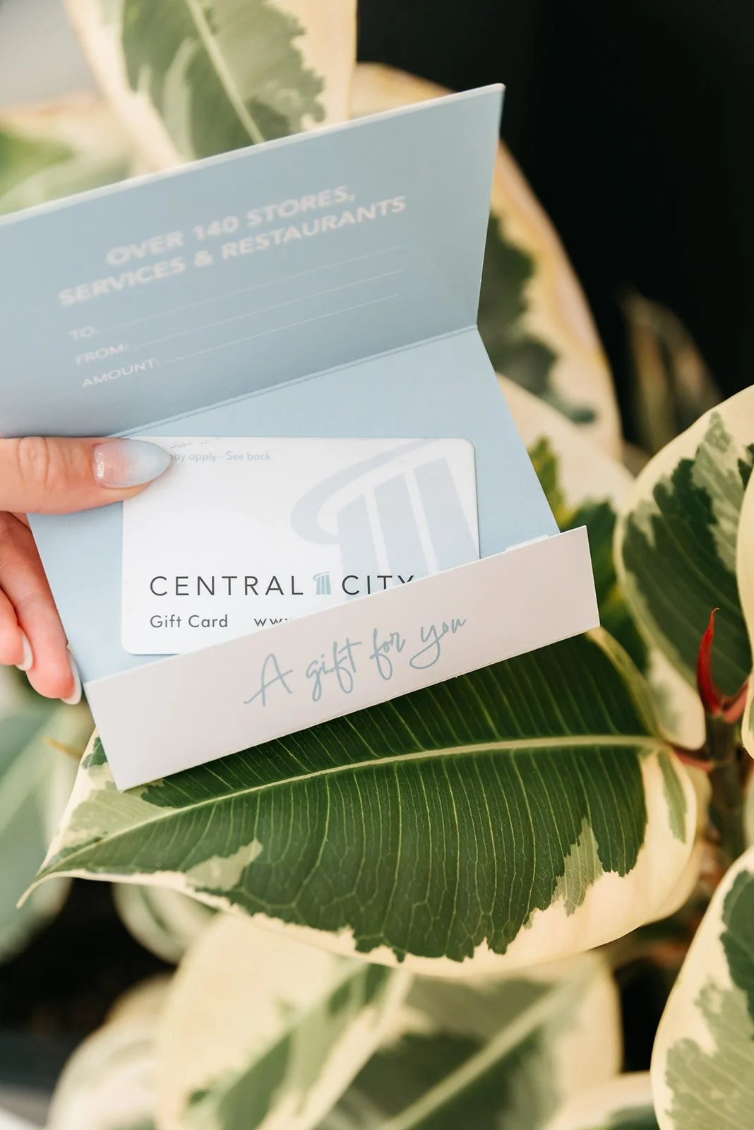 MM-CentralCity-Fall2025-174.jpg