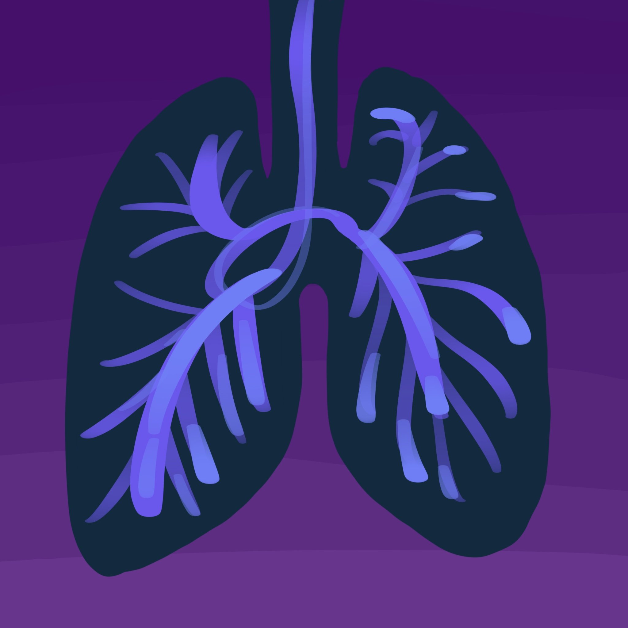 Meditation and The Breath