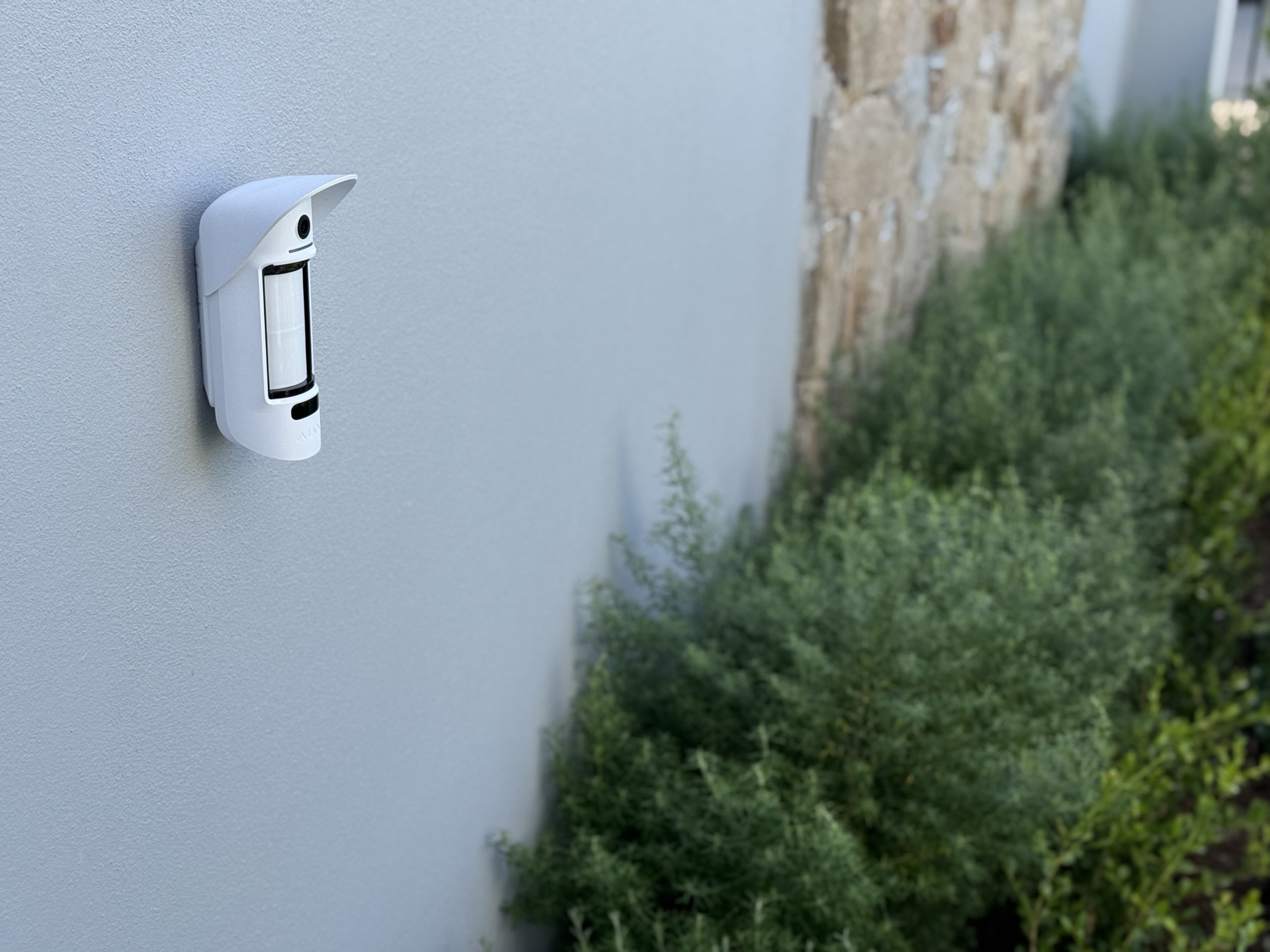 Outdoor motion sensor on wall with nearby plants