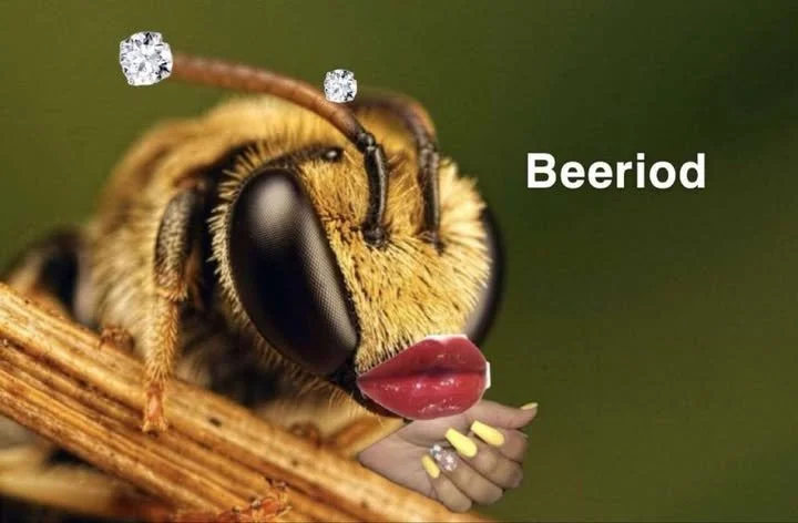 Bee Friendly - join the Buzz: Help Create Our New Community Coat