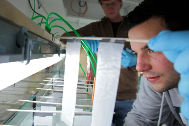 Research grants: Andreas Eich and Tobias Mildenberger
