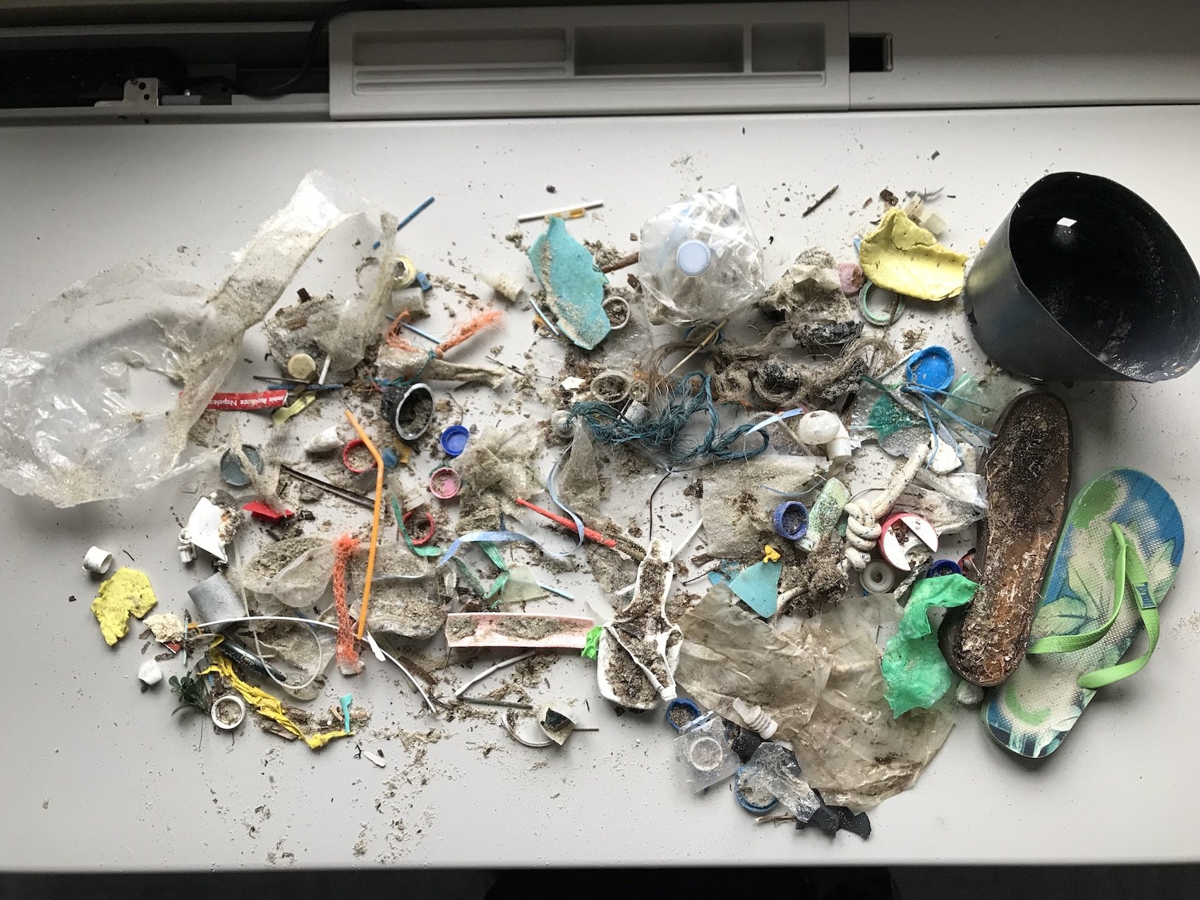 Copia di Anna Koziol - Beach waste collection - IMG_2016.jpg