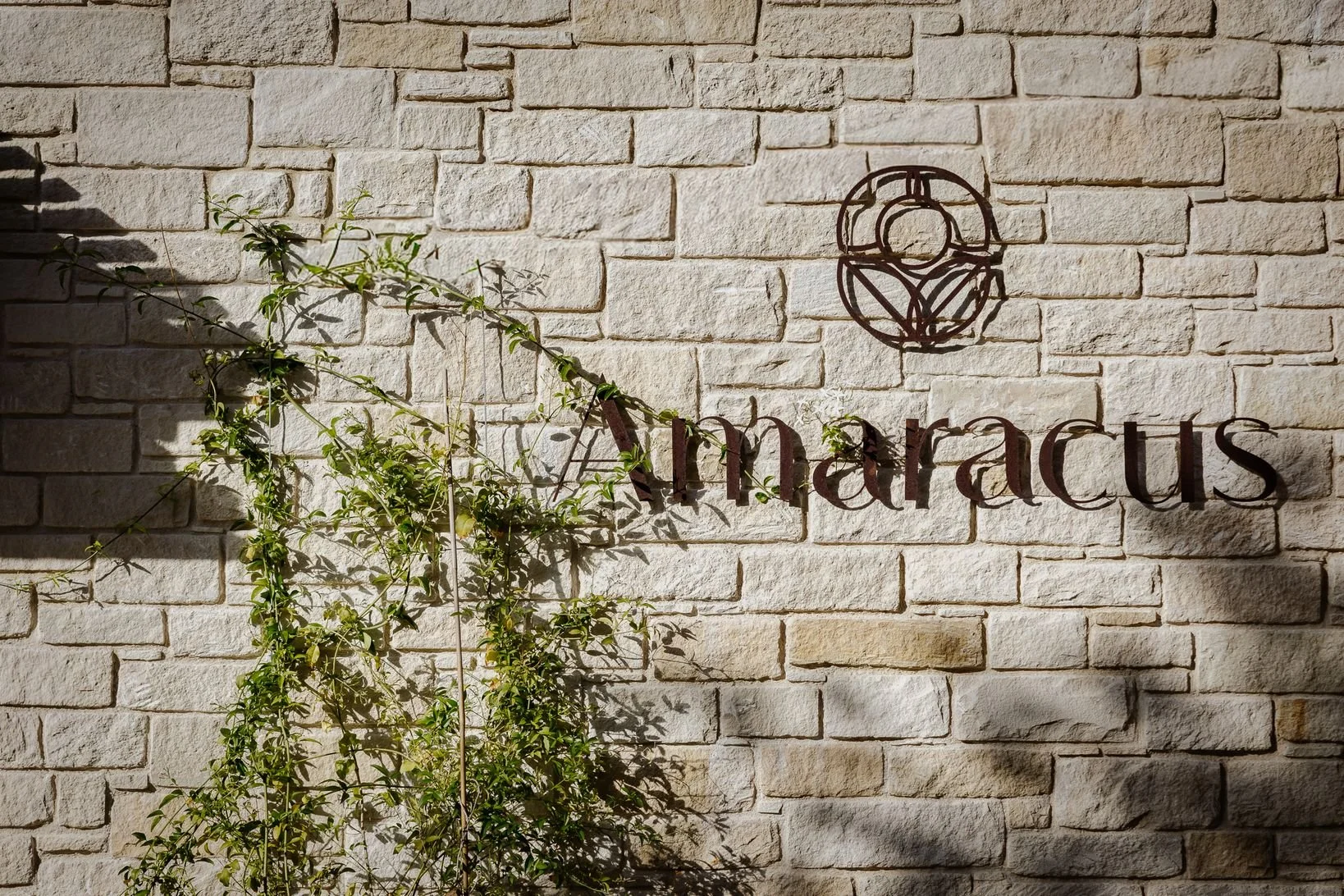 Amaracus winter 2025-1.JPG