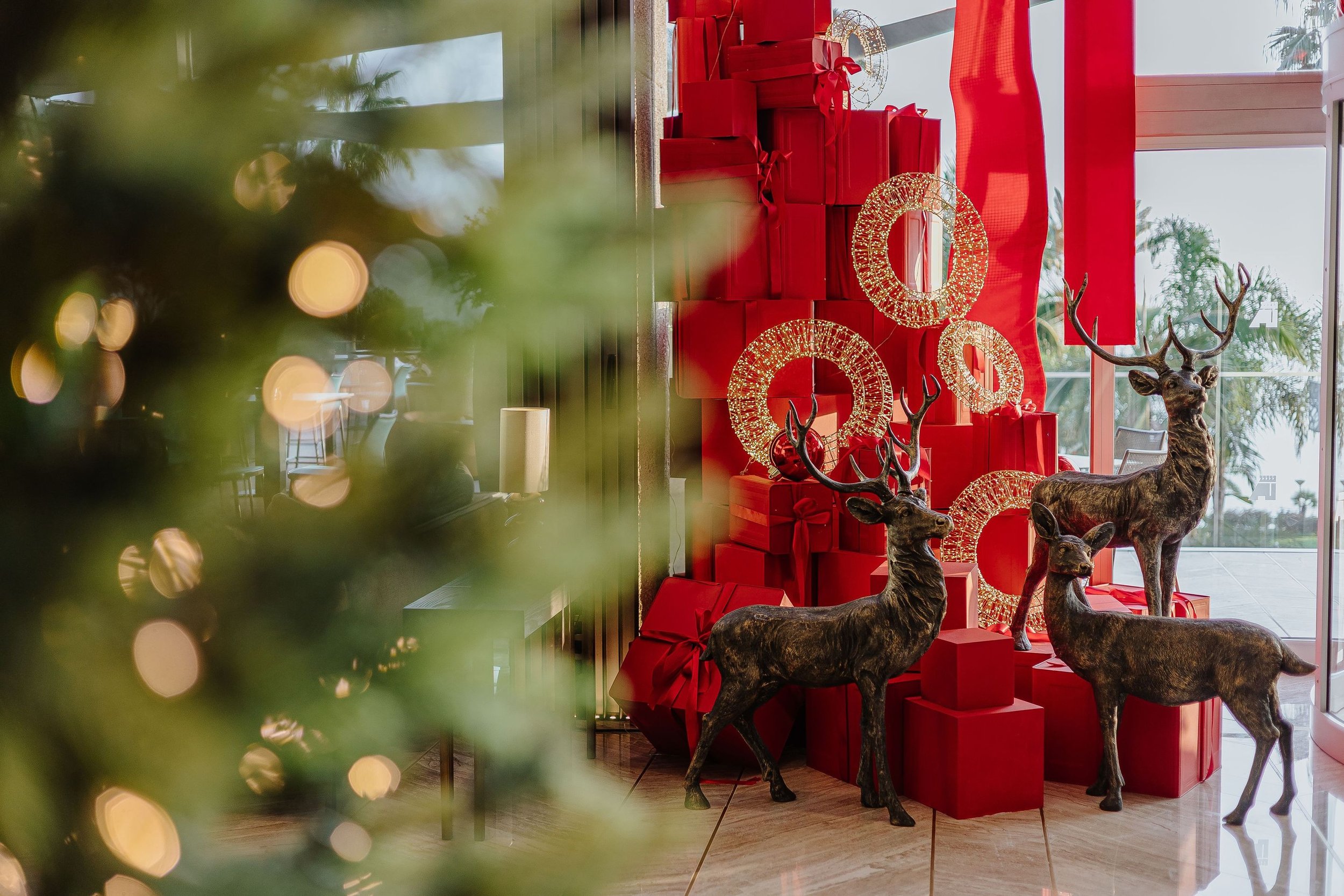 Amathus Xmas 2022 Details