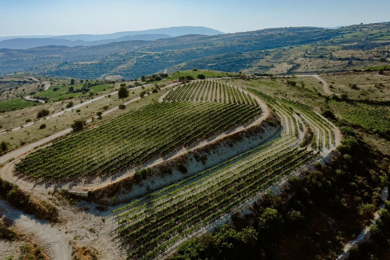 Argyrides Vineyards website content